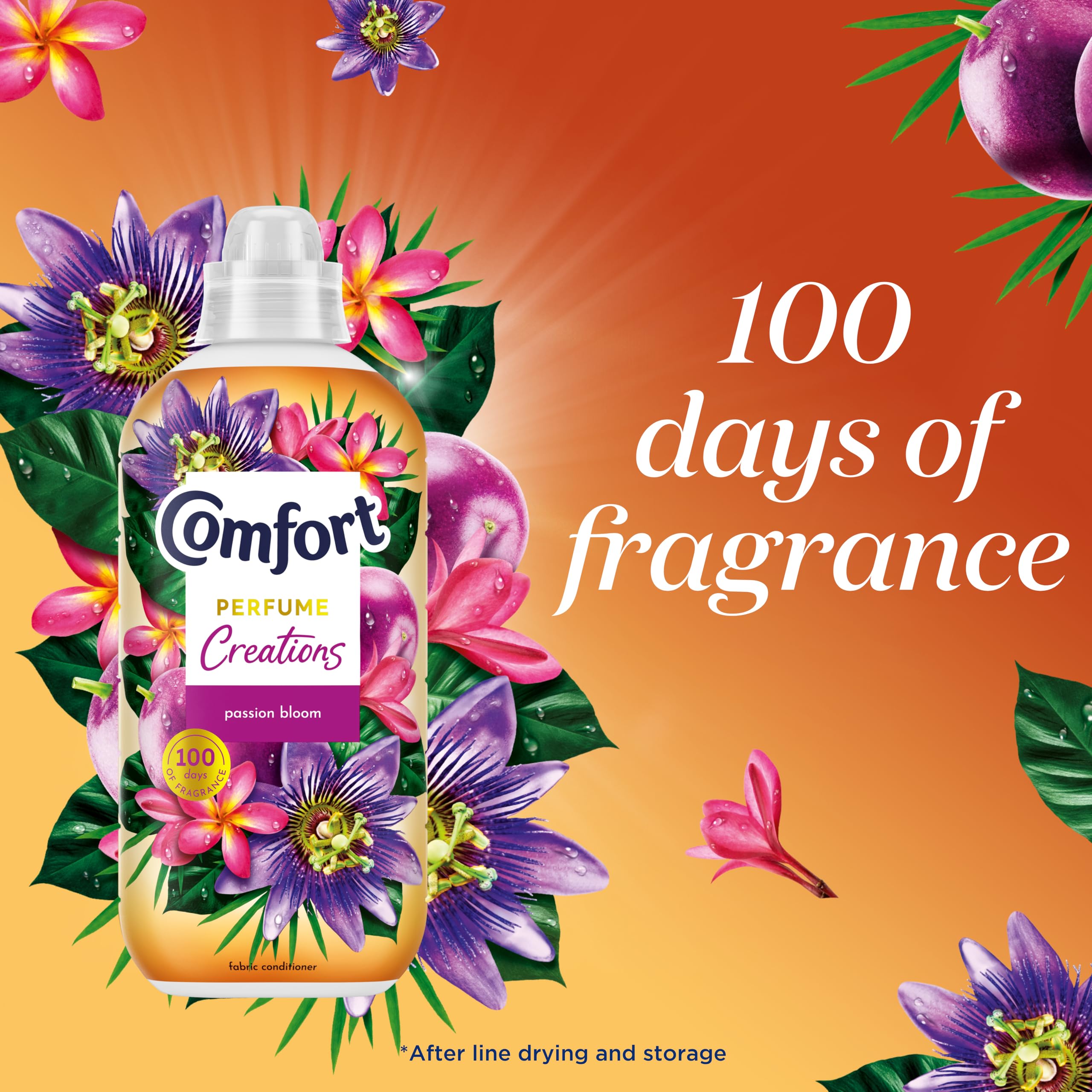 Comfort - Perfume Creations Passion Bloom Fabric Conditioner (1.42 kg) 3