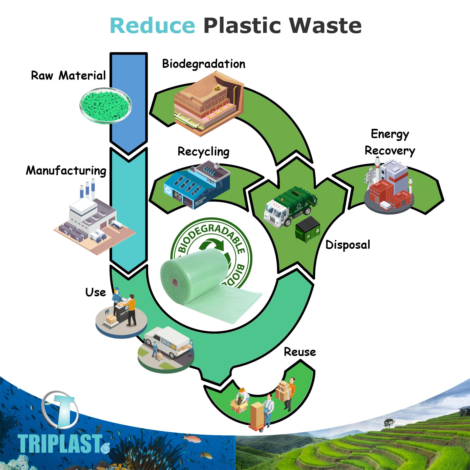 Triplast Biodegradable Green Bubble Wrap Roll - 400mm x 25m | Small 10mm Bubbles | Recycled Content