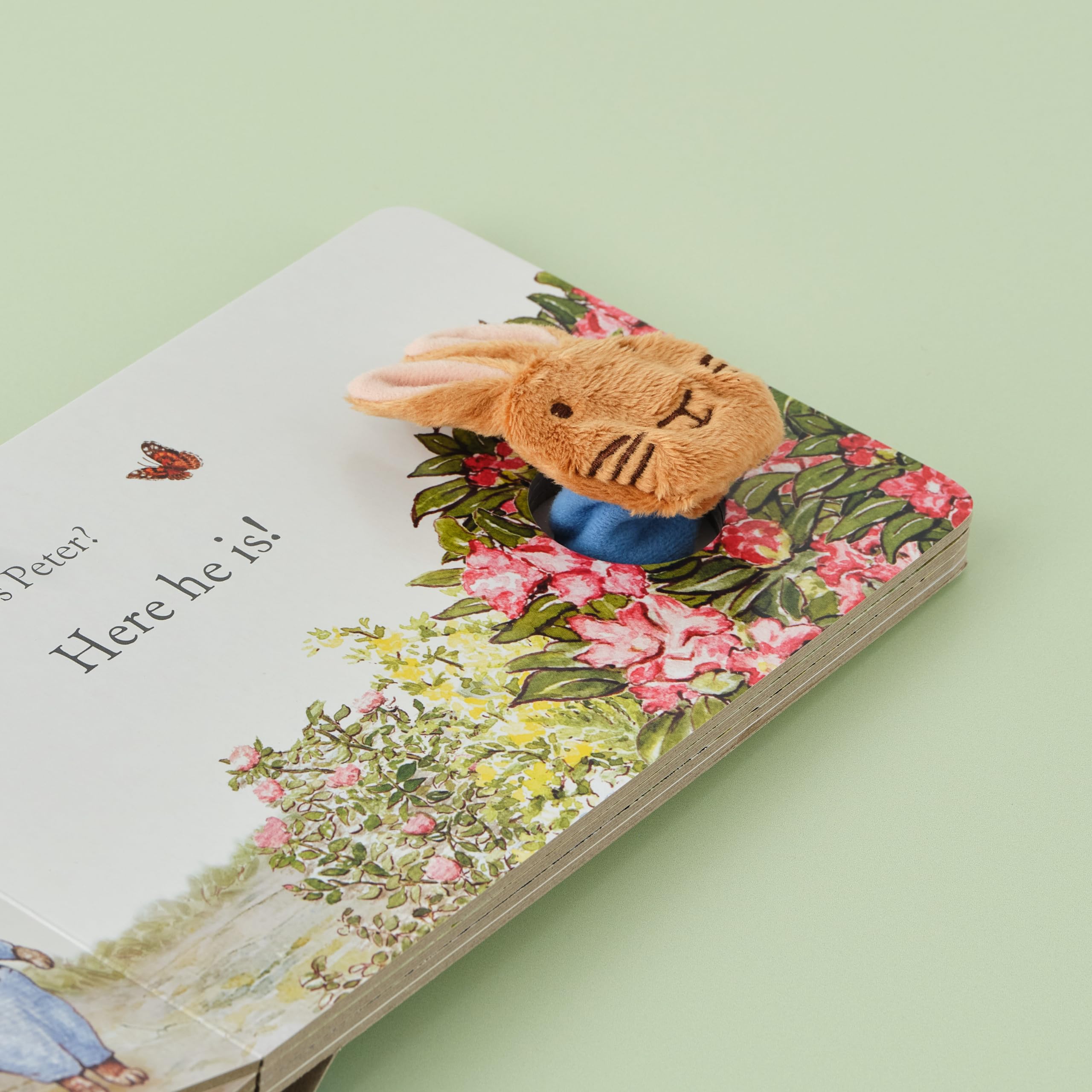 Warne Peter Rabbit Finger Puppet Book - Interactive Counting Classic | Board Book | English 5