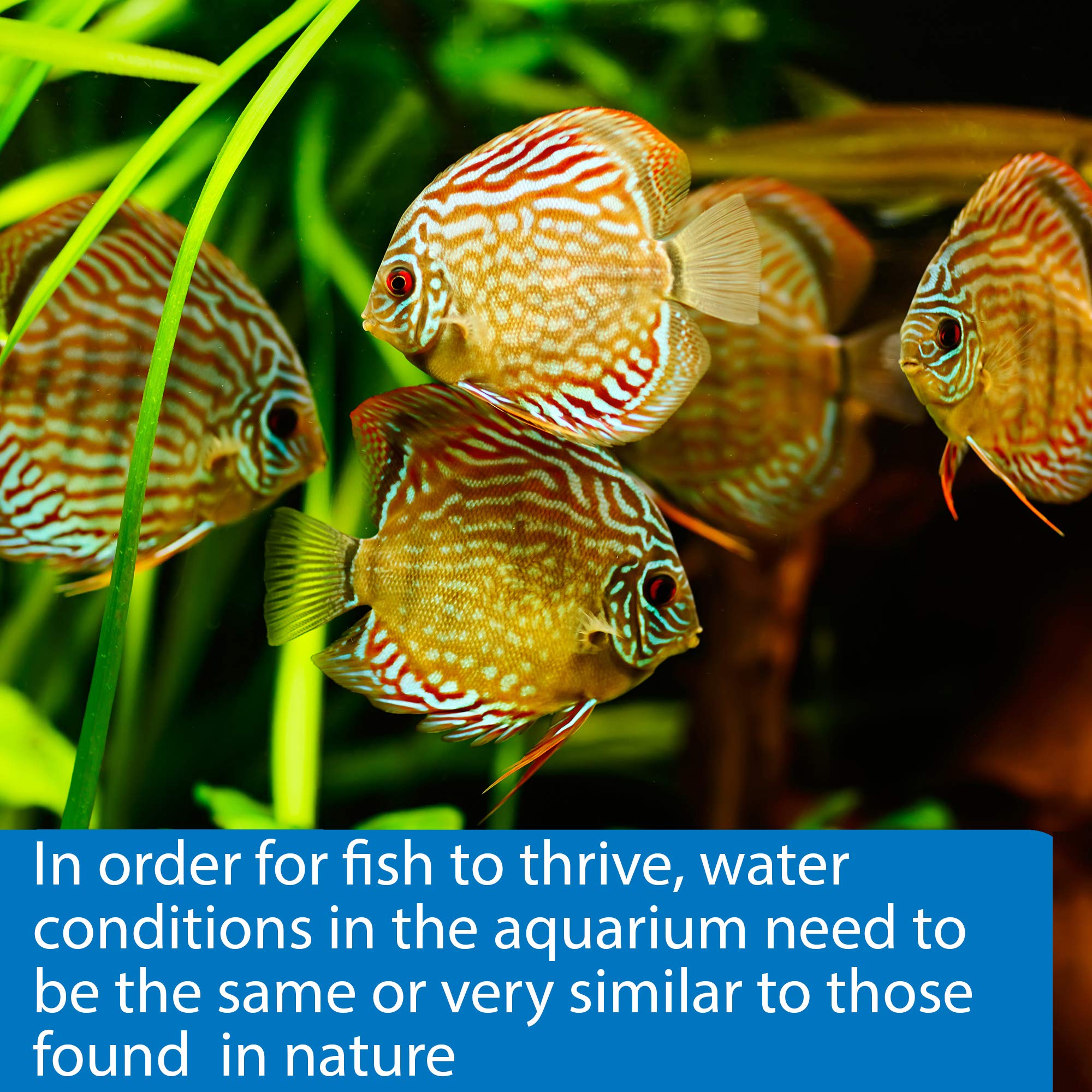 API 5-IN-1 Test Strips for Freshwater & Saltwater Aquariums | 25 Count 5