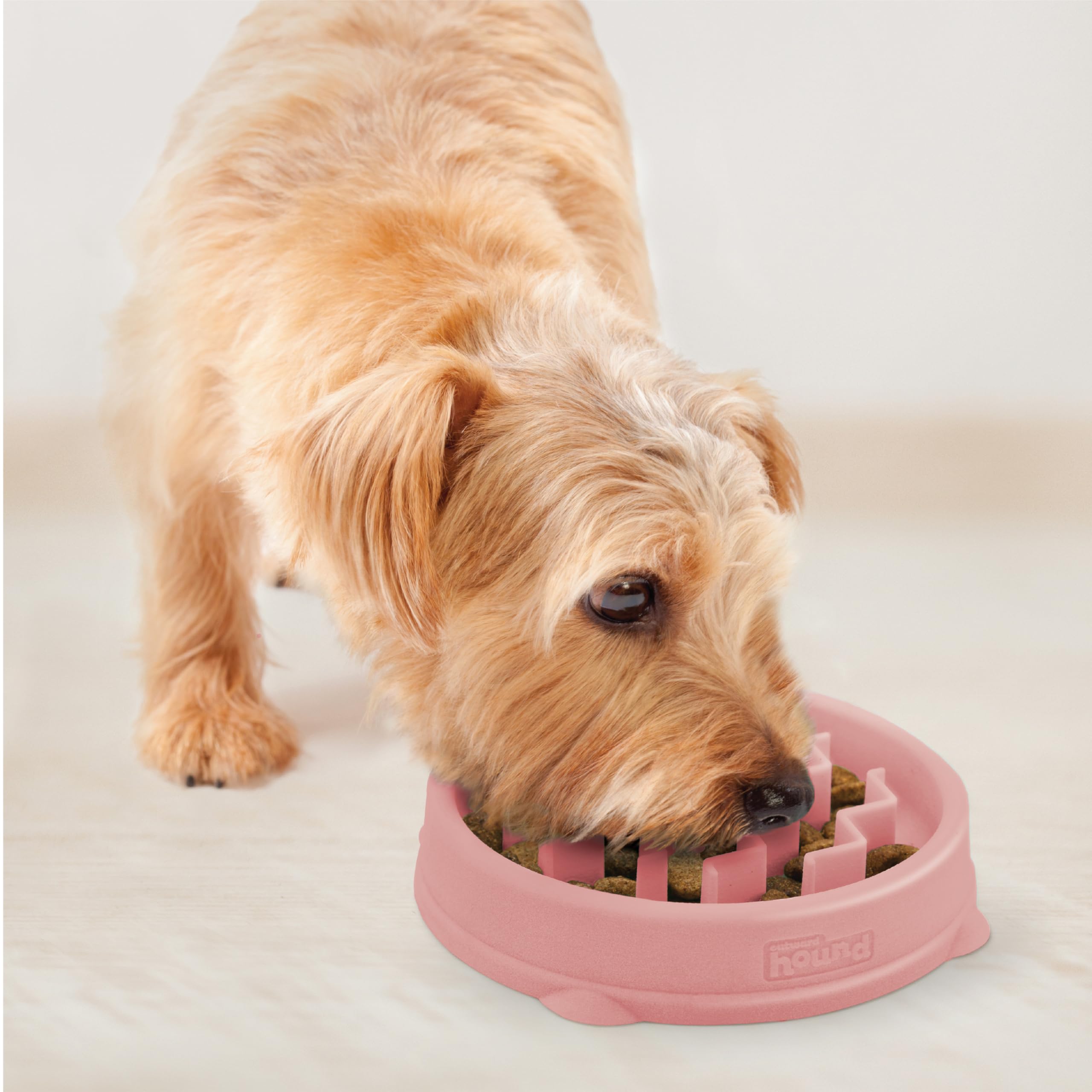 Outward Hound Puppy Slow Feeder Dog Bowl - Pink, Small Size | Nonslip Base | BPA-Free 6
