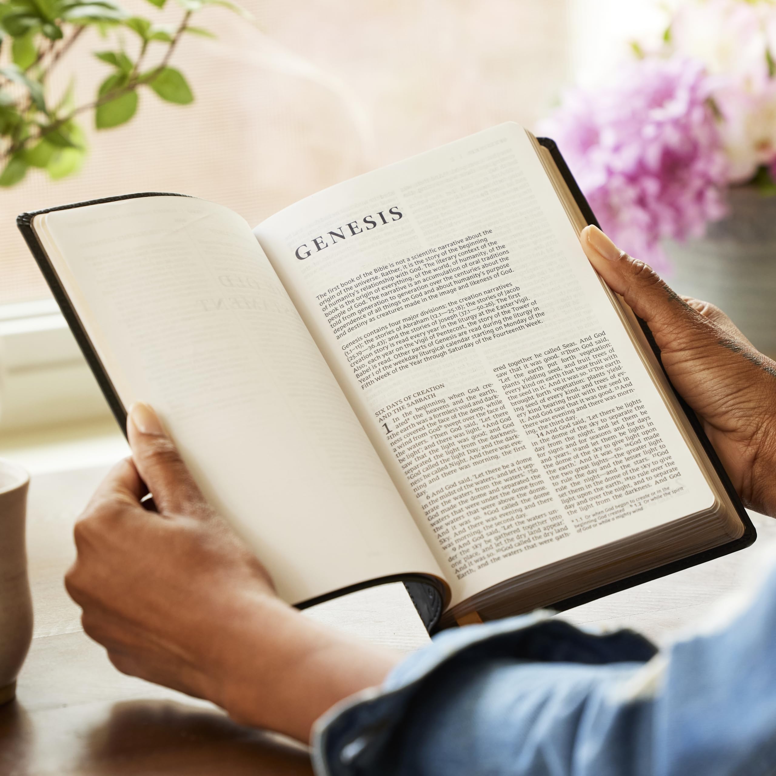 Catholic Bible Press NRSV Catholic Bible, Gift Edition - Leathersoft Brown, Comfort Print 3