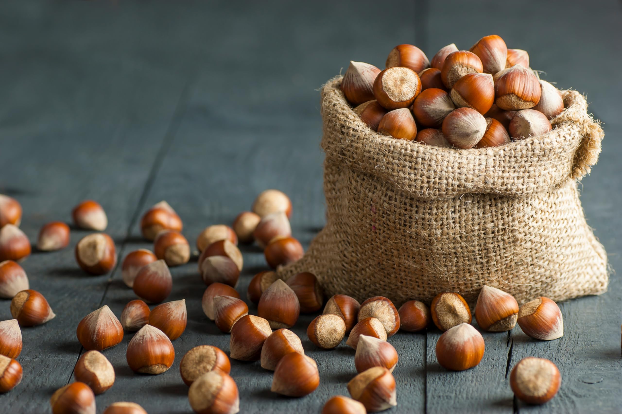 Mundo Feliz Organic Raw Hazelnuts - 2 x 500g Pack | Unsalted, Vegan-Friendly 5
