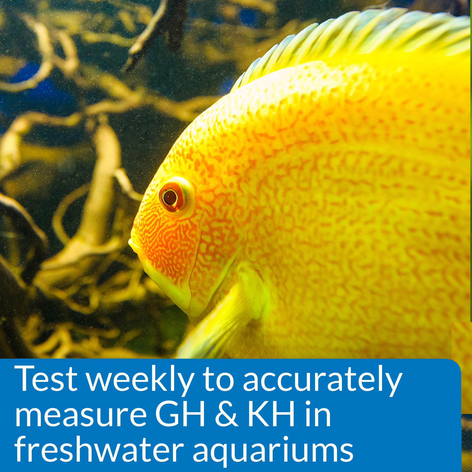 API GH & KH Test Kit for Freshwater Aquariums | Measures Water Hardness 4