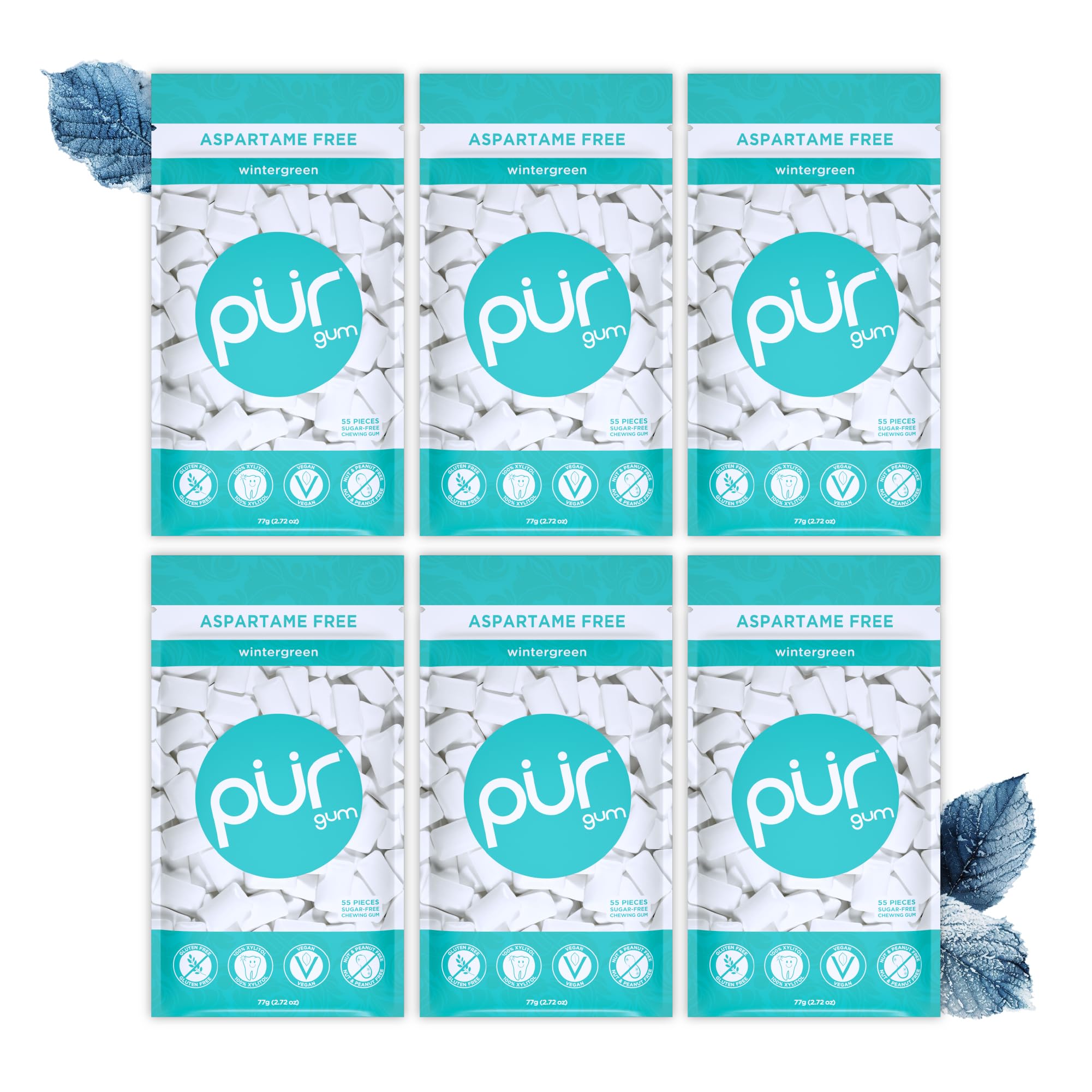 PUR Gum - Sugar Free Wintergreen Chewing Gum | Xylitol Sweetened | Vegan, Keto Friendly | 6 Pack of 55 Count 1