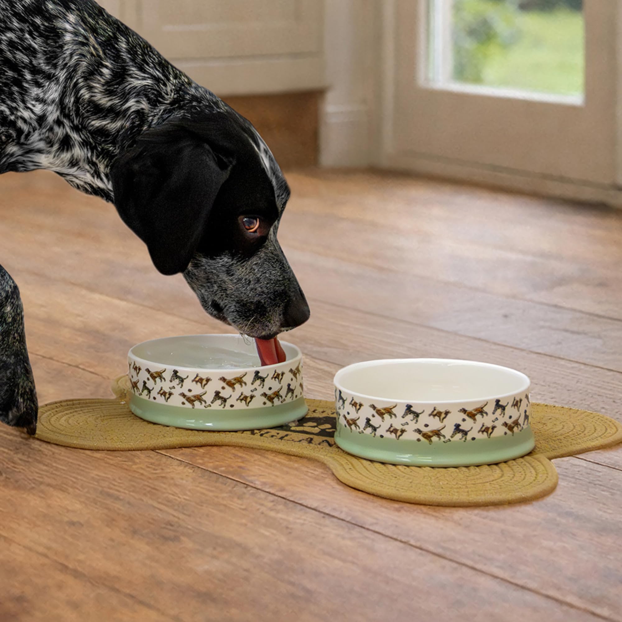 Banbury & Co Ceramic Dog Bowl - 400ml | Blue | Dishwasher Safe 5