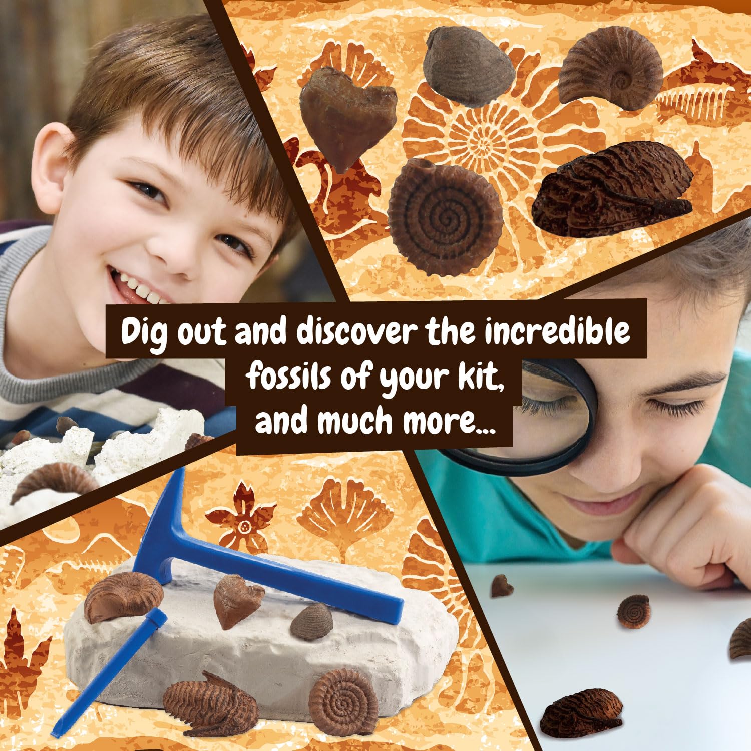 Science4you Fossil Dig Kit for Kids 6+ | Excavation Toy with 5 Fossils | Educational Paleontology Gift 6