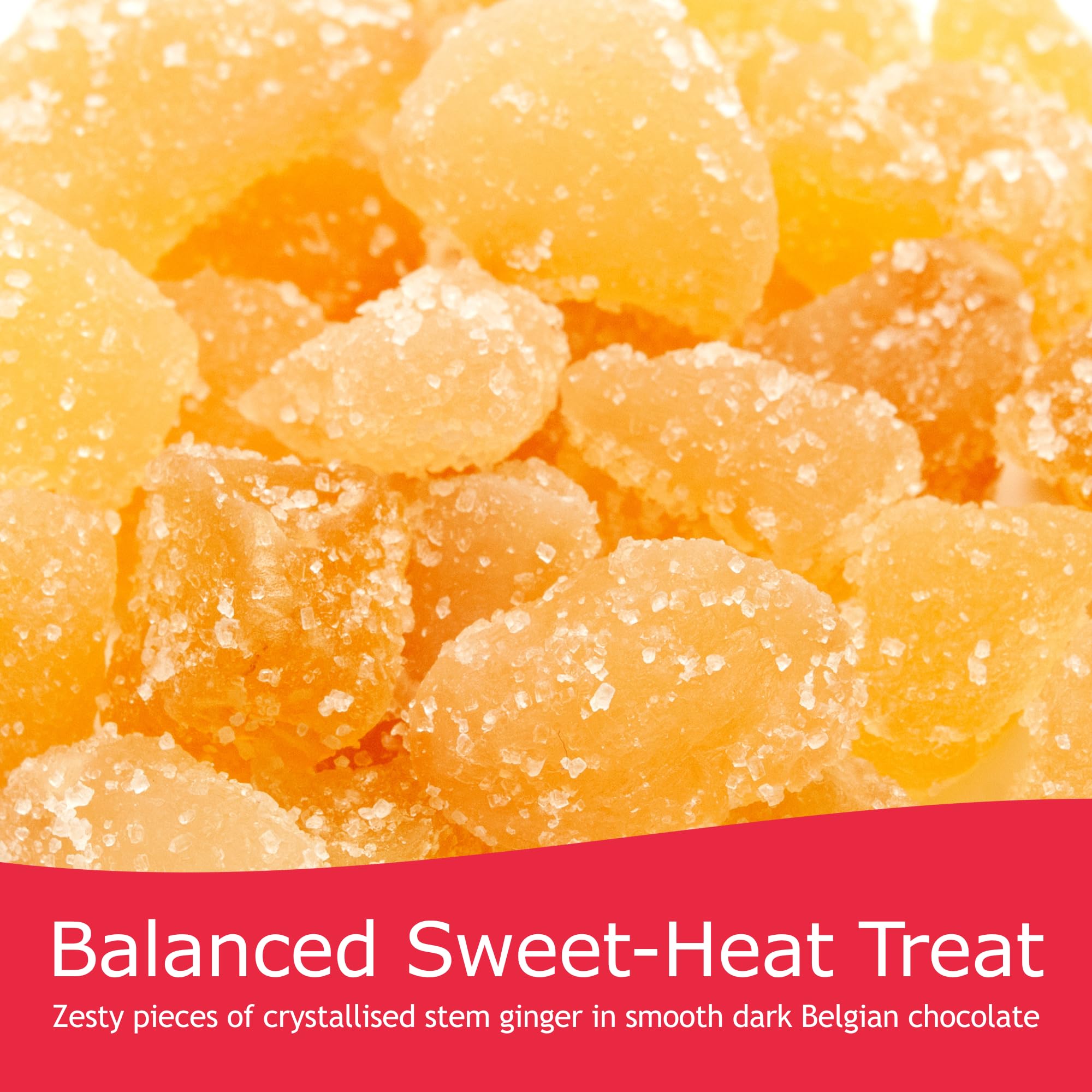 Rita Farhi Dark Chocolate Covered Ginger Luxury Gift Jar 850g 5