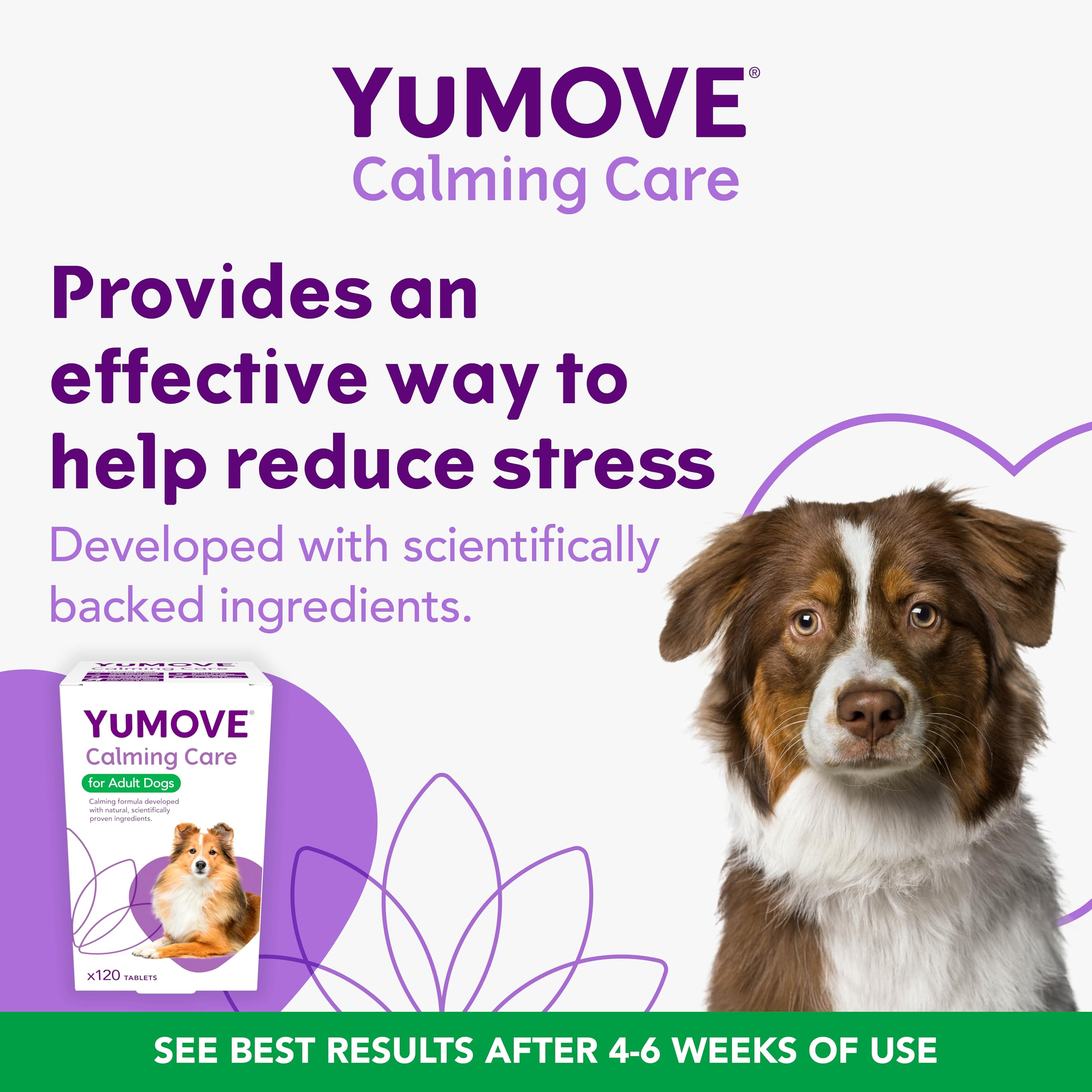 YuMOVE Calming Care Tasty Treats Dog Supplements for Anxiety Relief | 120 Tablets