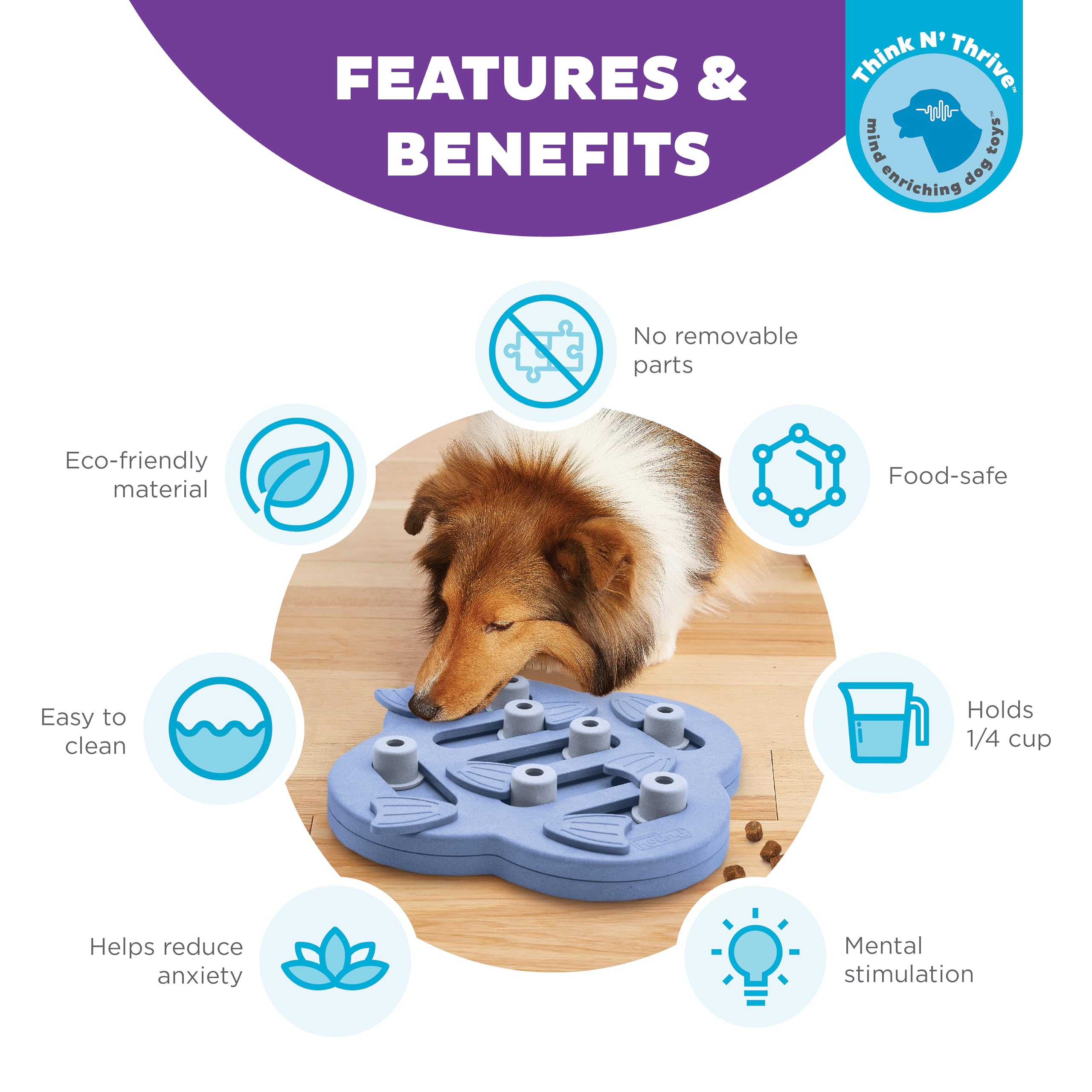 Outward Hound Nina Ottosson Dog Hide N' Slide Purple Interactive Treat Puzzle - Level 2 Intermediate