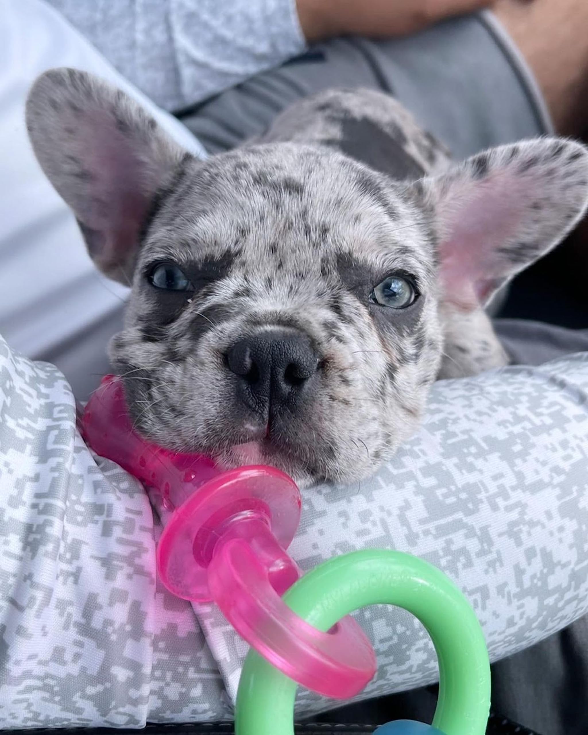 Nylabone Puppy Pacifier Chew Toy - Bacon Flavor, Extra Small (Up to 7 kg)