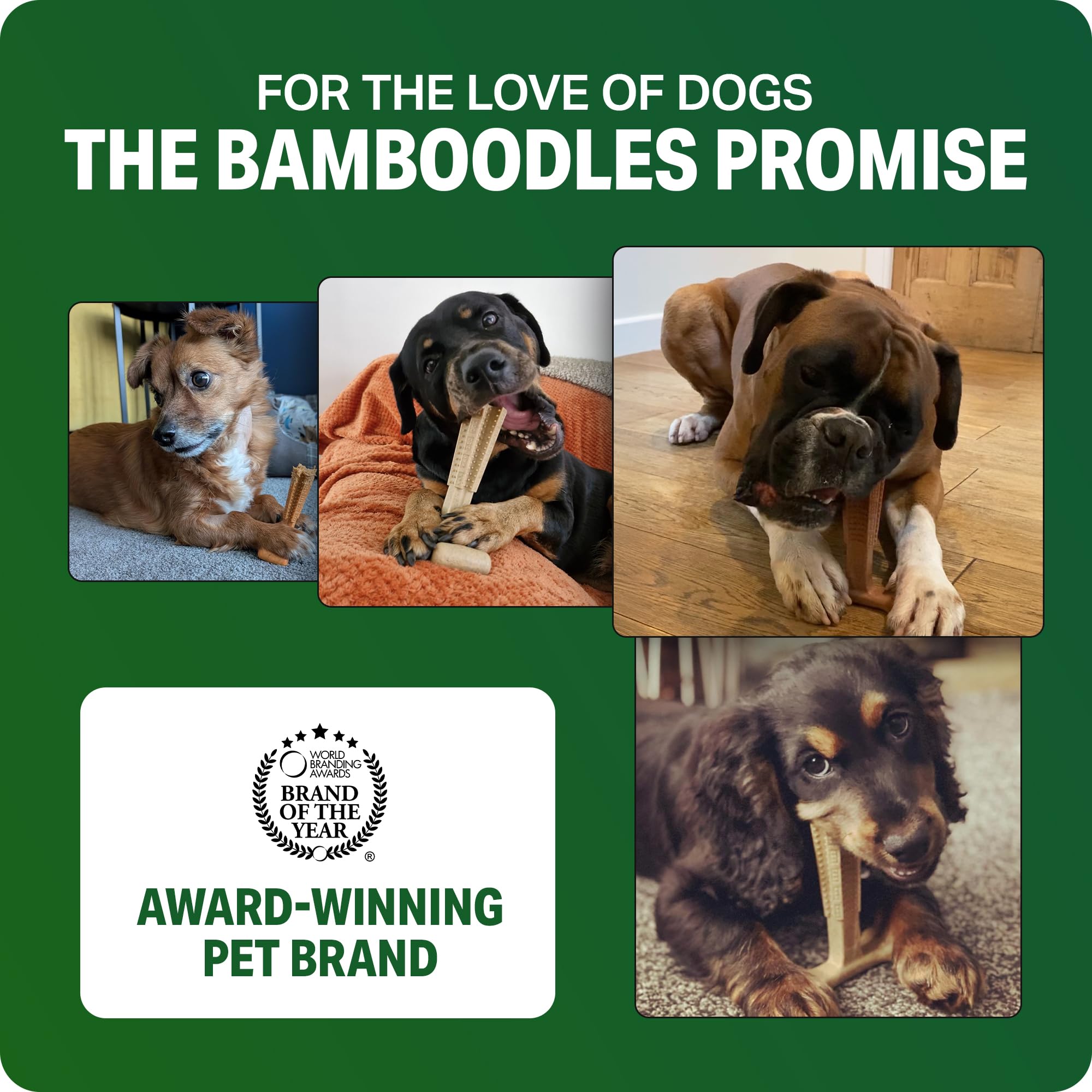 Bamboodles T-Bone Dog Chew Toy - Medium Size | Mint & Lamb Flavor | Heavy Duty 7