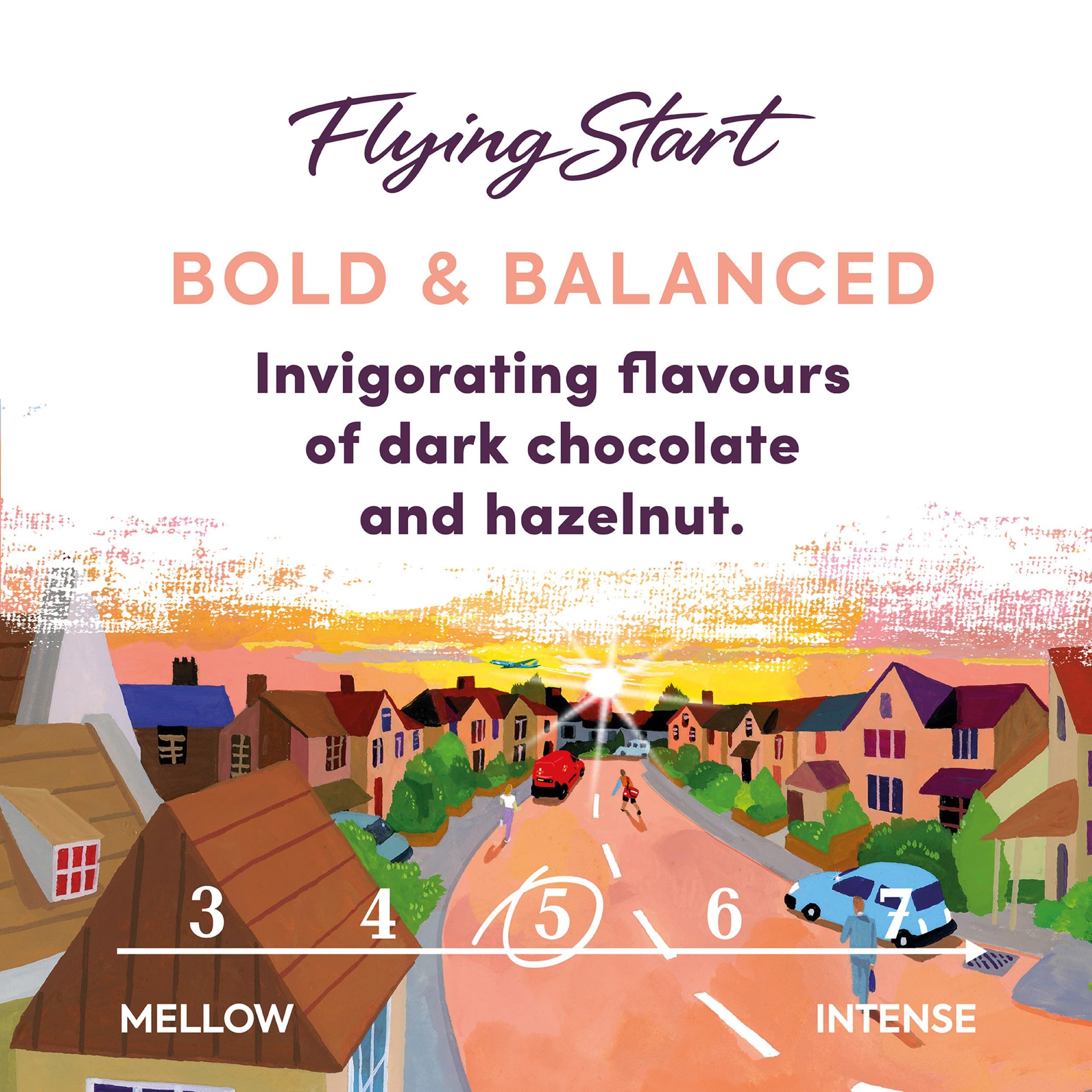 Taylors of Harrogate Flying Start Ground Coffee Bags - Dark Chocolate & Hazelnut Roast | 10 Count (Pack of 3) 2