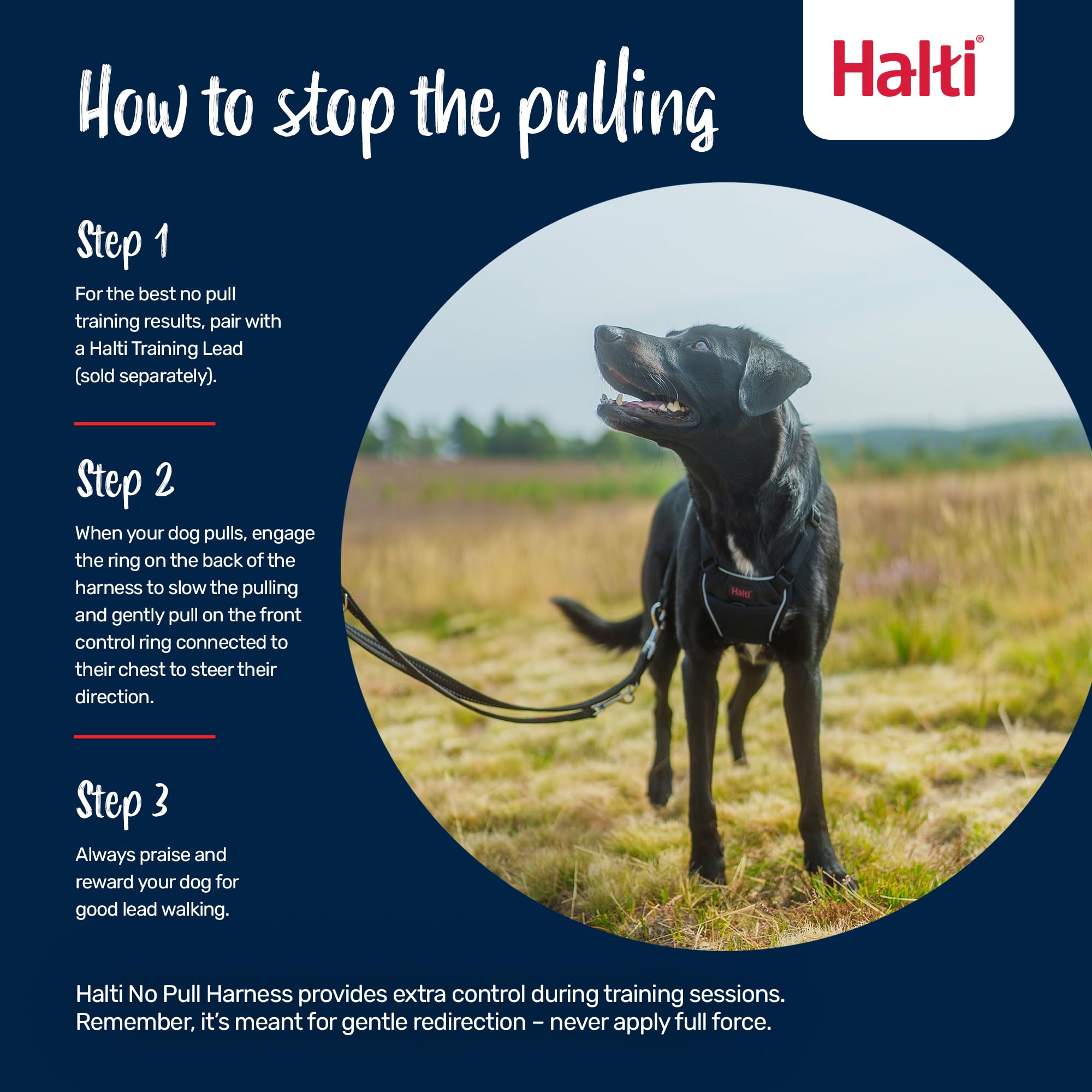 Halti No Pull Vest Harness - Stops Pulling, Adjustable, Reflective | Size Medium, Black 5