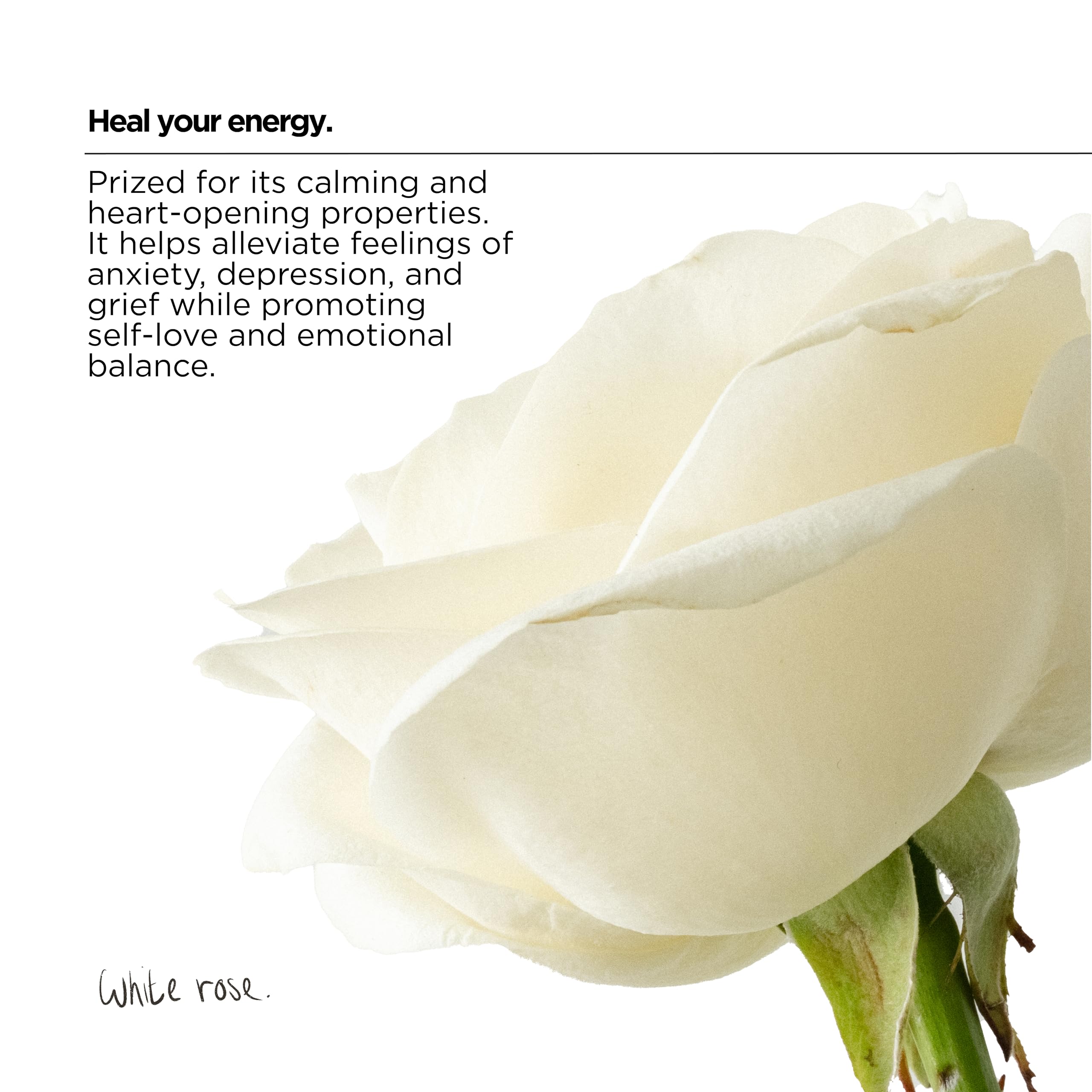 The Lab Co. Soothing Fabric Conditioner & Laundry Softener - Non-Bio, Ultra Concentrated, Plant & Mineral Based 16