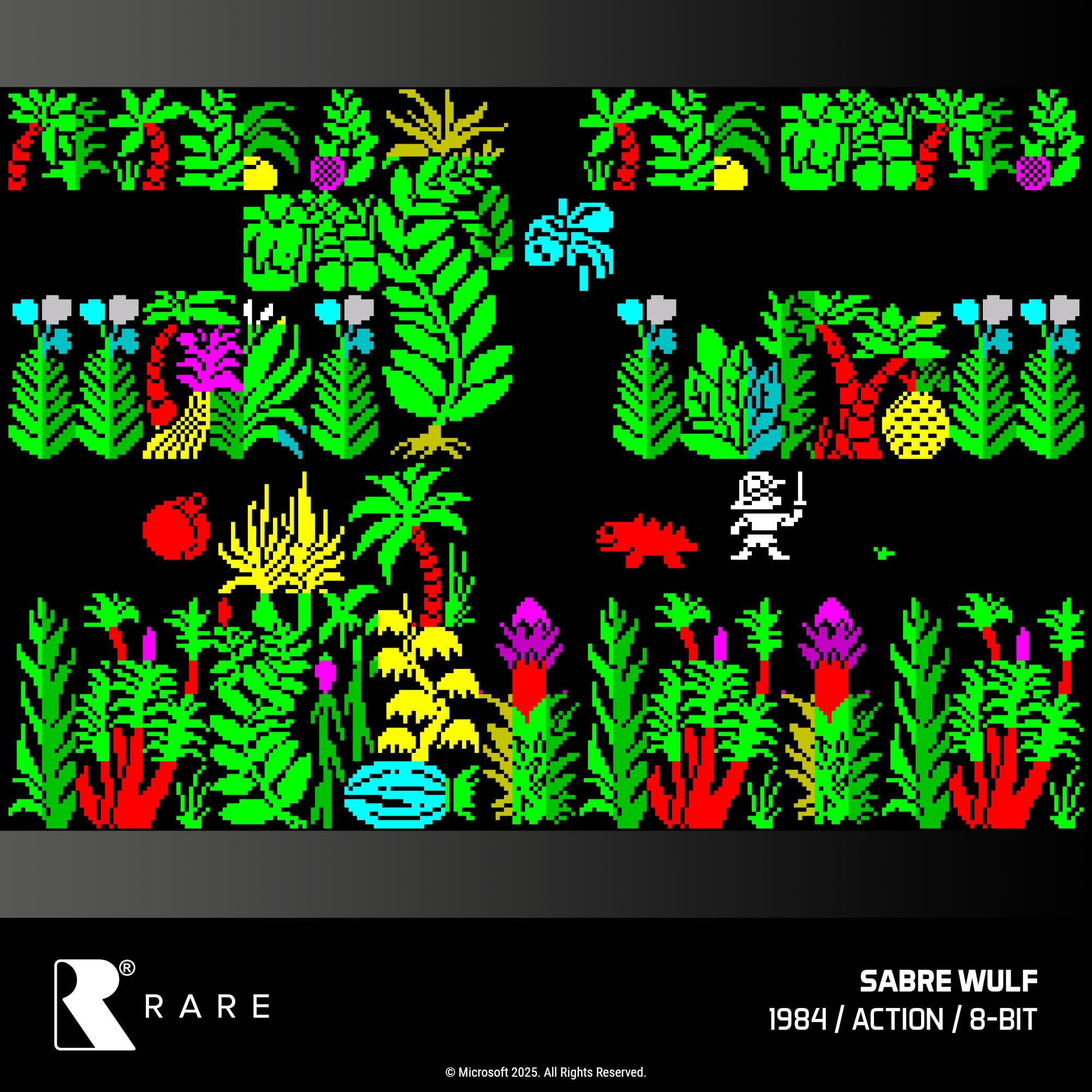 Blaze Evercade Rare Collection 1 - Evercade Cartridge Edition 6