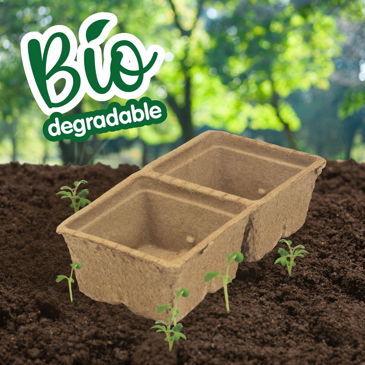 Science4you Small Greenhouse for Kids - Grow Kit with Watermelon, Melon & Watercress Seeds for Children 6+ 12