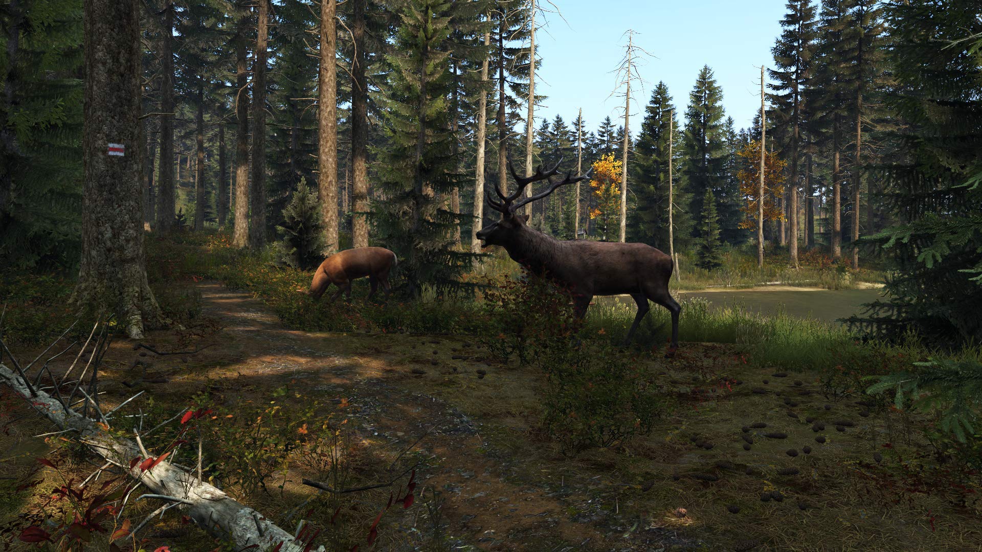 Dayz - PS4 PlayStation 4 Edition 3