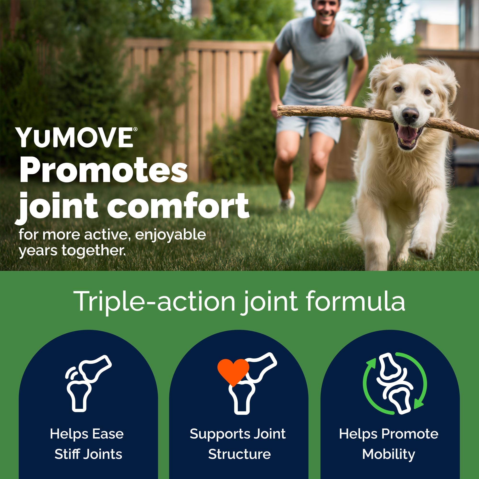 YuMOVE Joint Supplement for Dogs - 60 Tablets for Stiff Adult Dogs with Glucosamine & Green Lipped Mussel