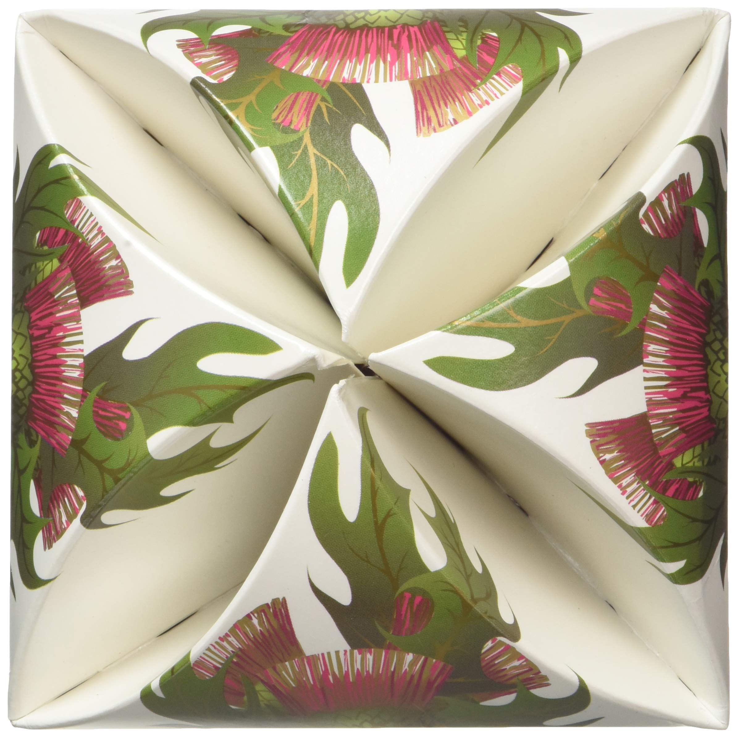 Gardiners of Scotland Rum & Raisin Fudge - Thistle Design Carton 250g 4