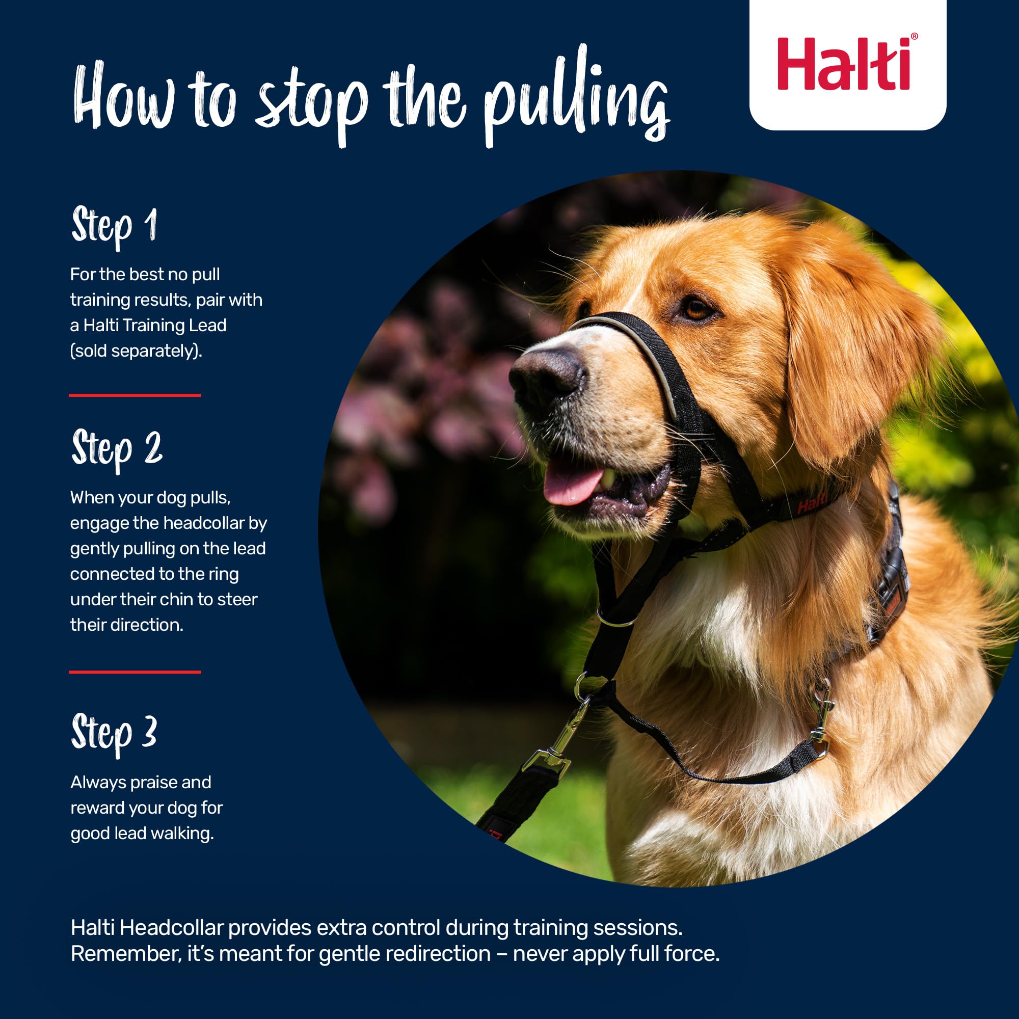 Halti Headcollar - Stop Pulling | Size 2 | Desert Sand | Reflective 4