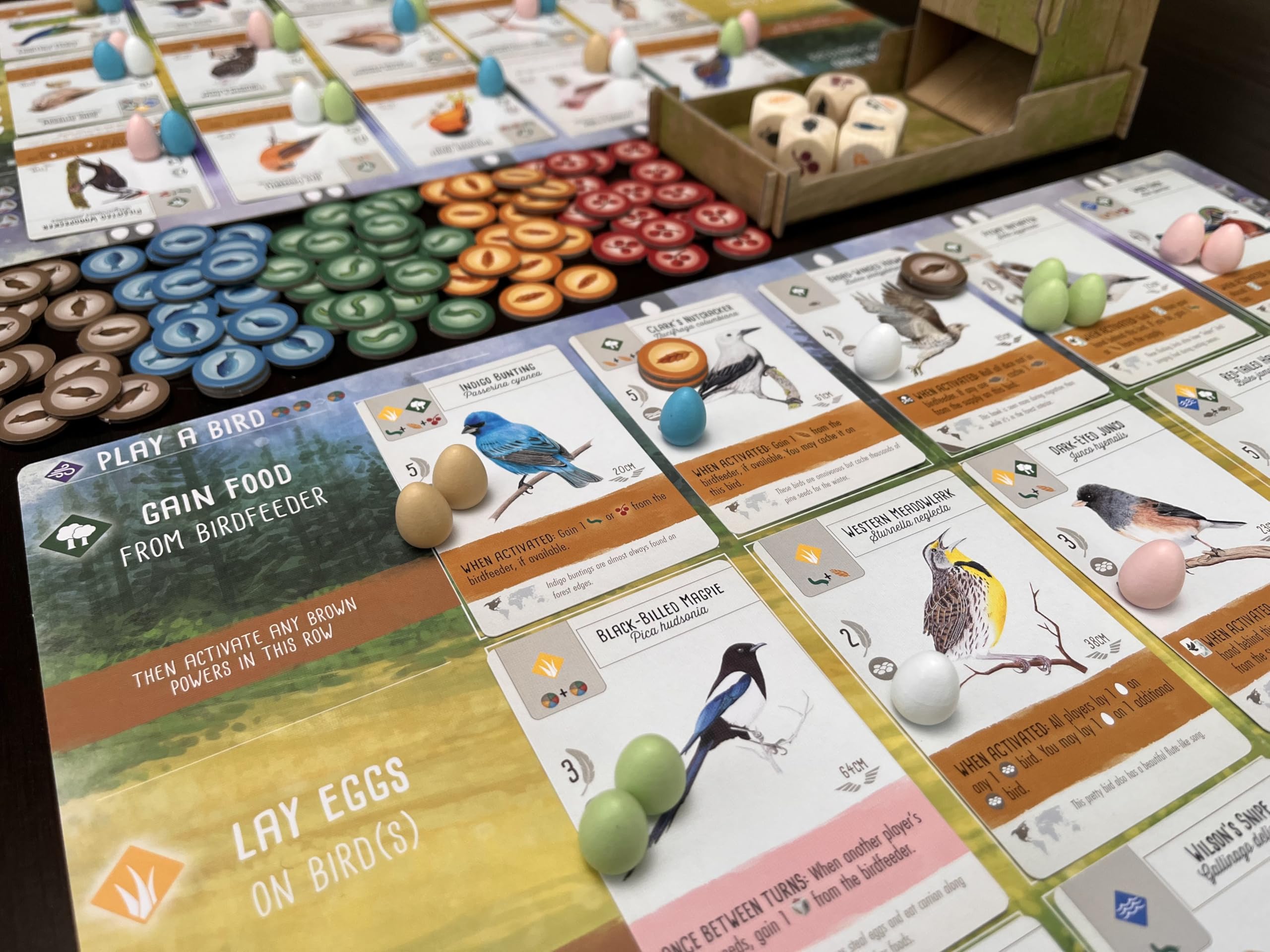 Stonemaier Games Wingspan 2nd Edition Board Game 10