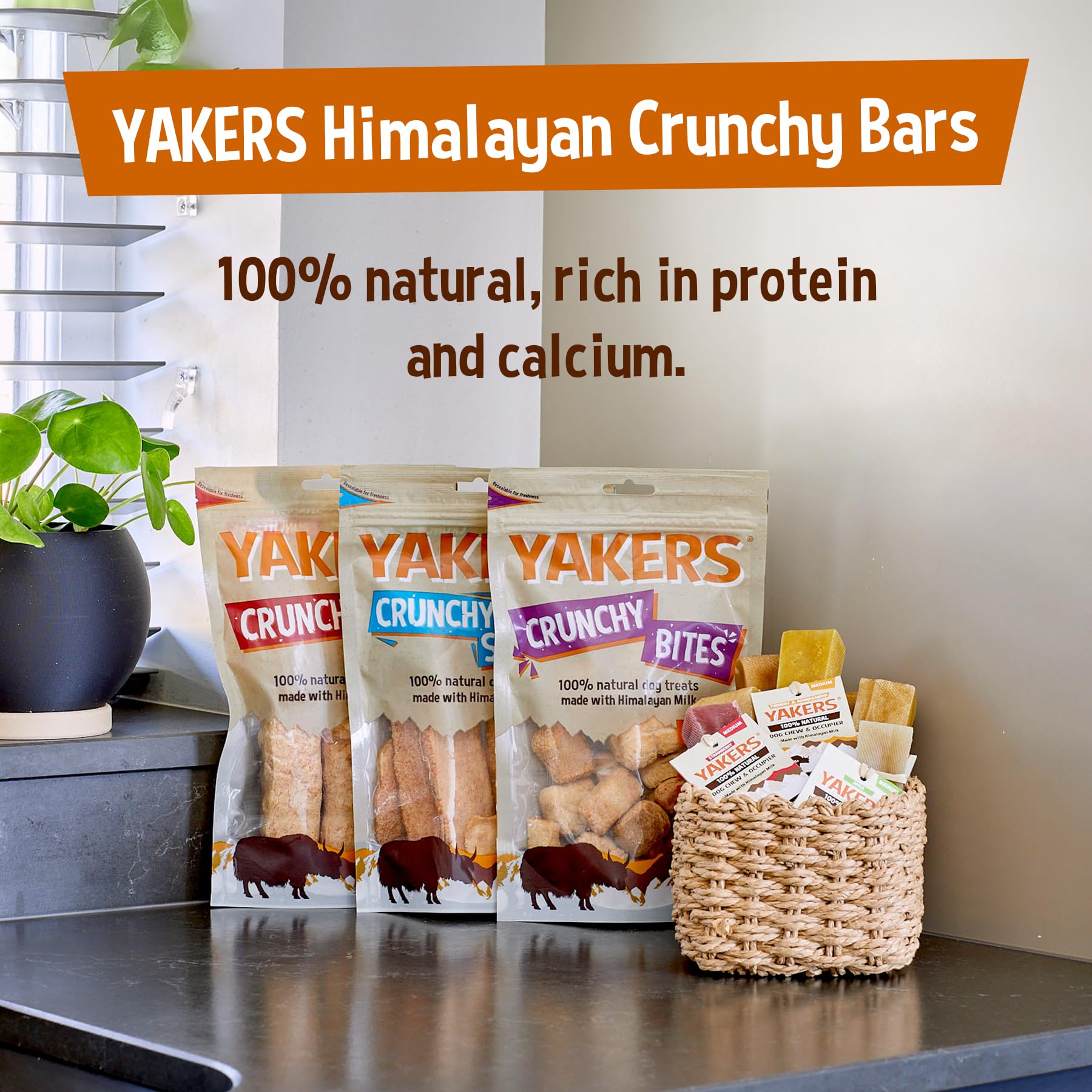Yakers Cranberry Dog Chew for Medium Breeds | Protein & Calcium Rich | Dental Health Support 9