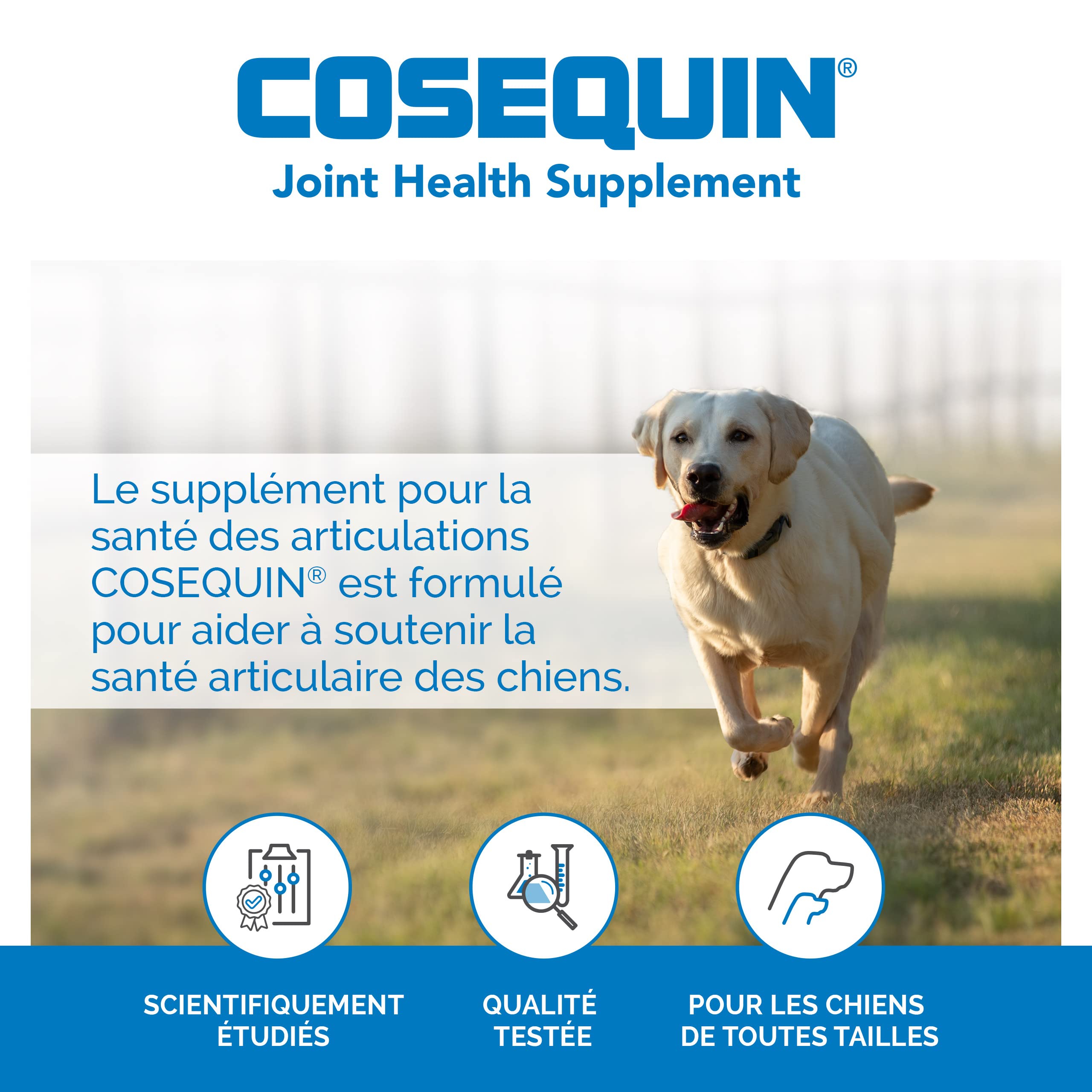 Nutramax COSEQUIN Joint Health Supplement for Dogs - Maximum Strength | 120 Count Tablets