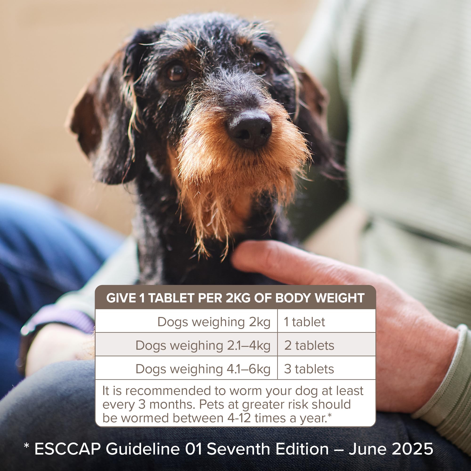 Beaphar One Dose Worming Tablets - For Small Dogs Up To 6kg | 3 Tablets 6