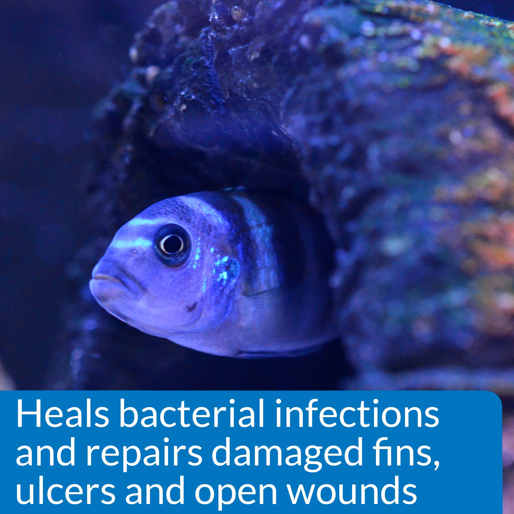 API MELAFIX Freshwater Fish Bacterial Infection Remedy - Heals Wounds & Fins | 473 ml Bottle 4