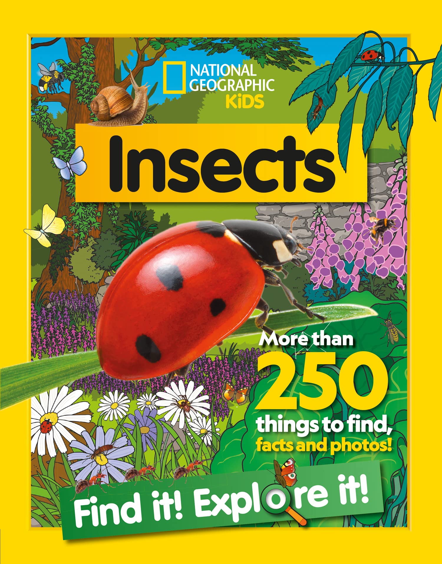Collins Insects Find it! Explore it! - Over 250 Things to Find | Paperback | Ages 3-7
