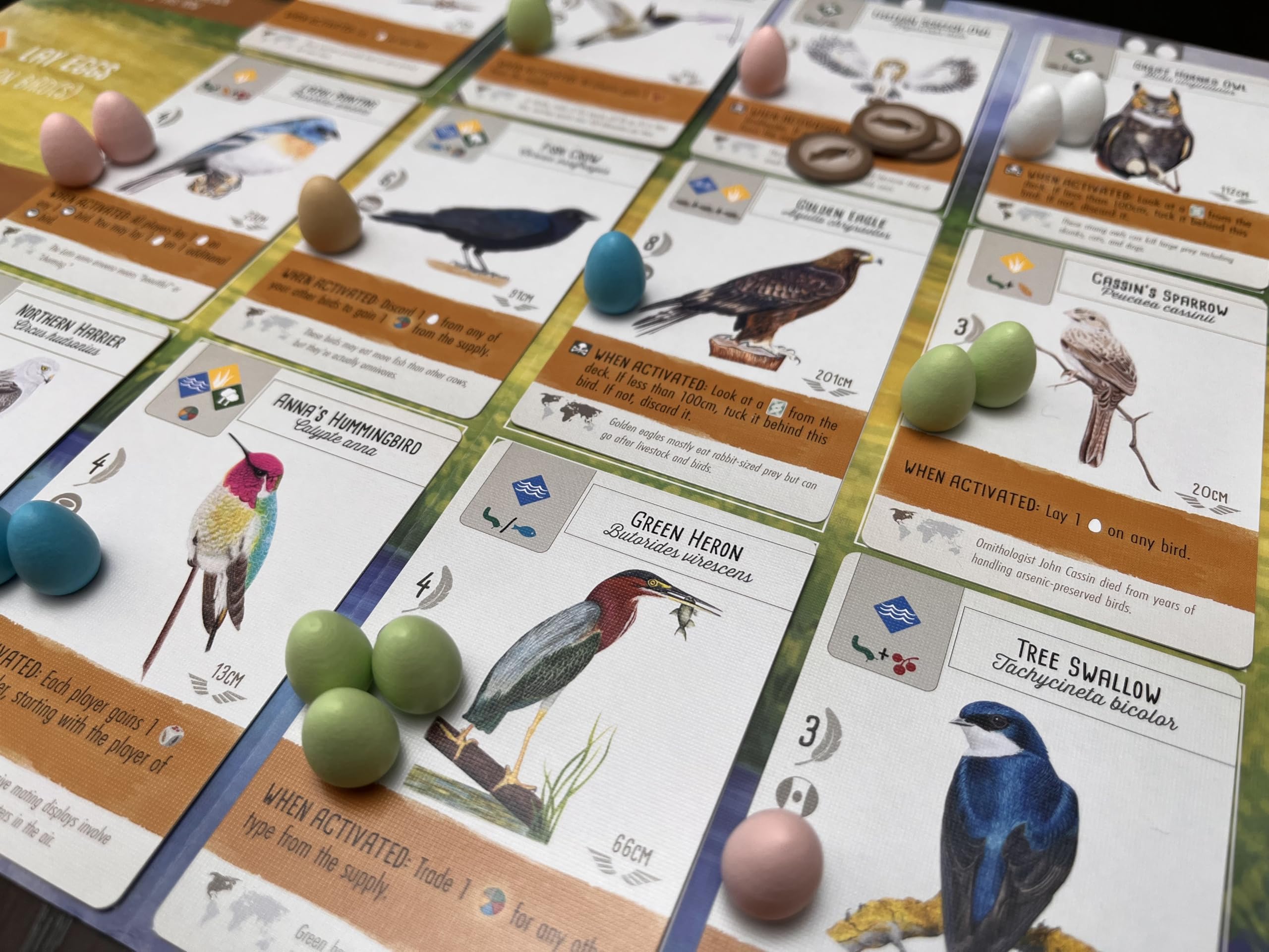 Stonemaier Games Wingspan 2nd Edition Board Game 11