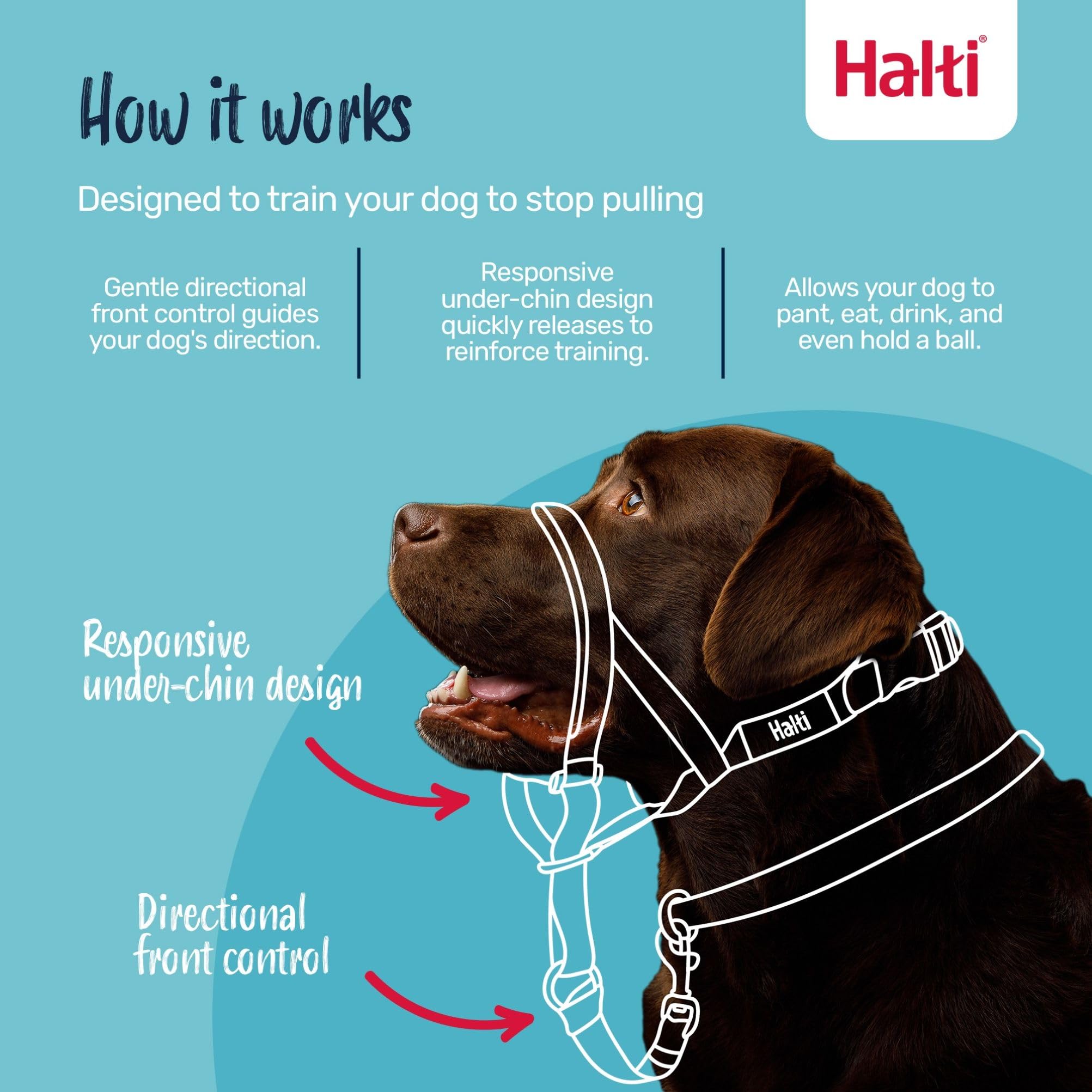 Halti Headcollar - Stops Pulling | Reflective Accents | Size 3, Desert Sand