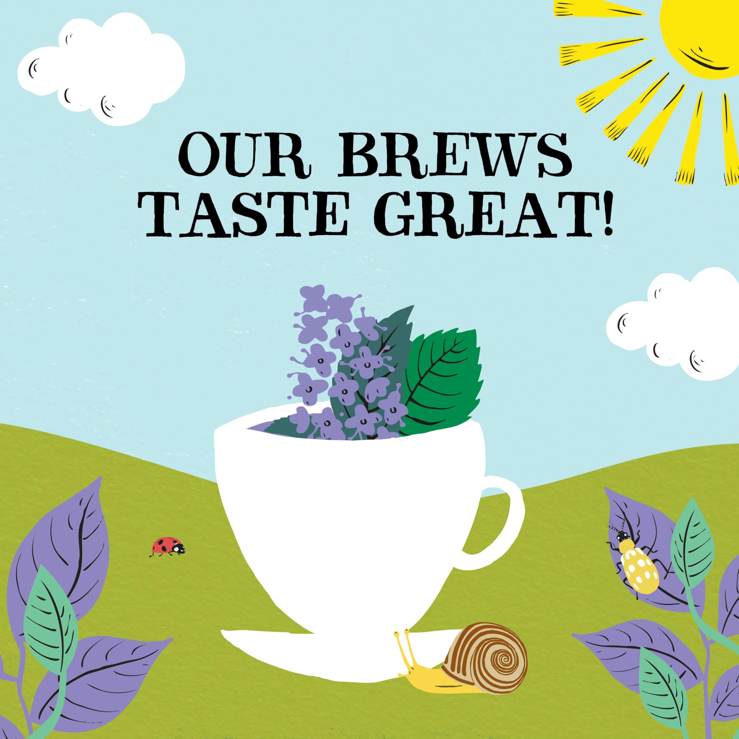 Clipper Organic Peppermint & Spearmint Infusions Fruit Teabags - 80 Unbleached Tea Bags 6