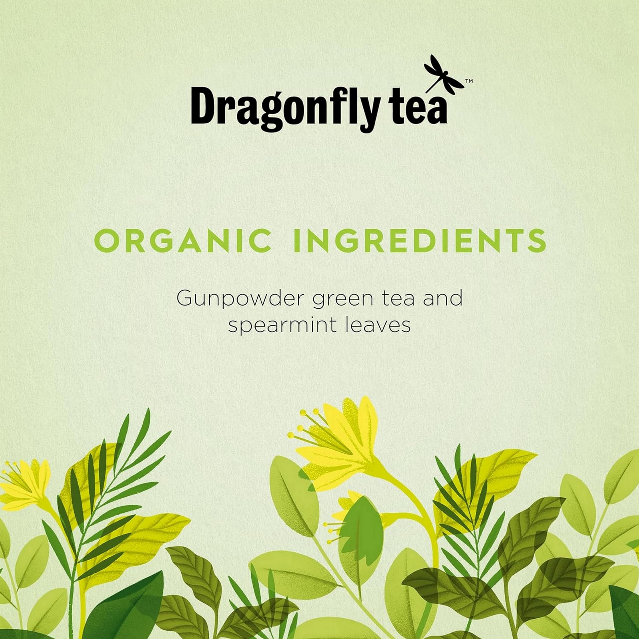 DRAGONFLY Organic Green Tea Moroccan Mint - 20 Teabags per Box, Pack of 4 (80 Total Teabags)