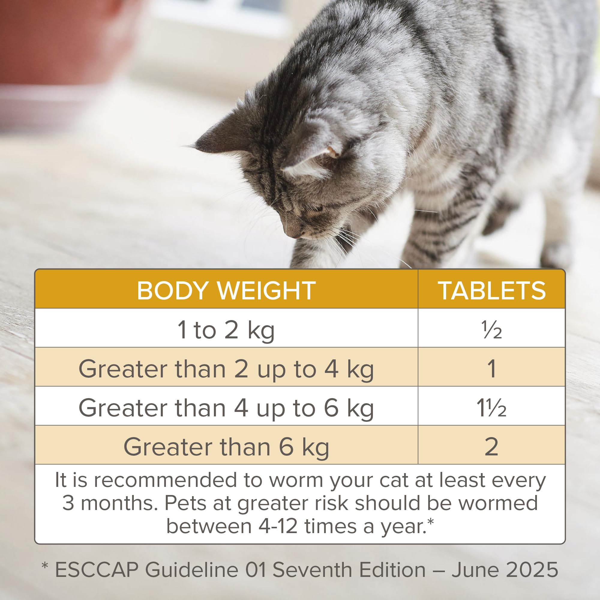 Beaphar WORMclear Tablets for Cats - Kills Roundworms & Tapeworms | 2 Tablet Pack 6
