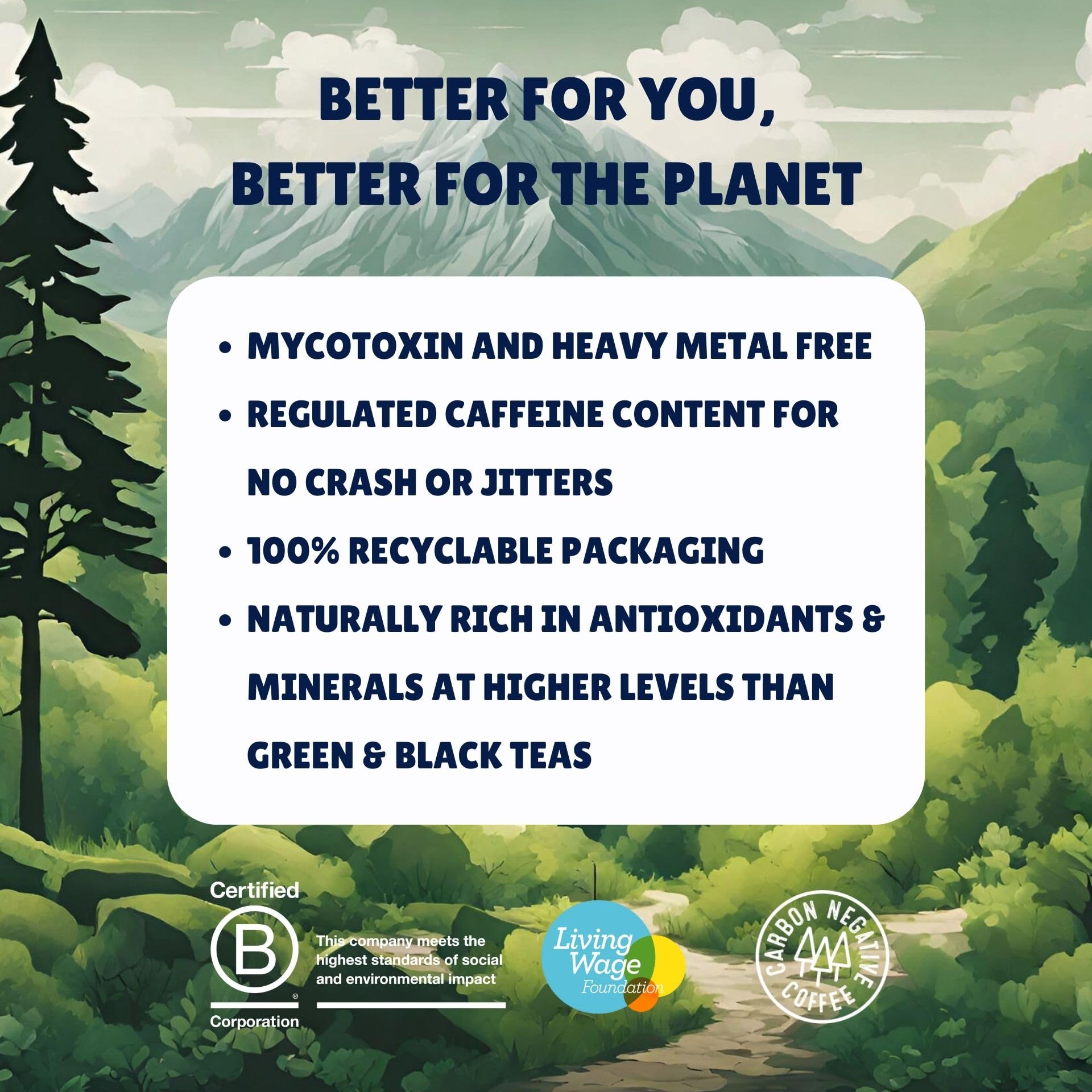 TRUESTART Energising Colombian Ground Coffee - Mycotoxin-Free, Medium Roast Arabica | 1kg 5