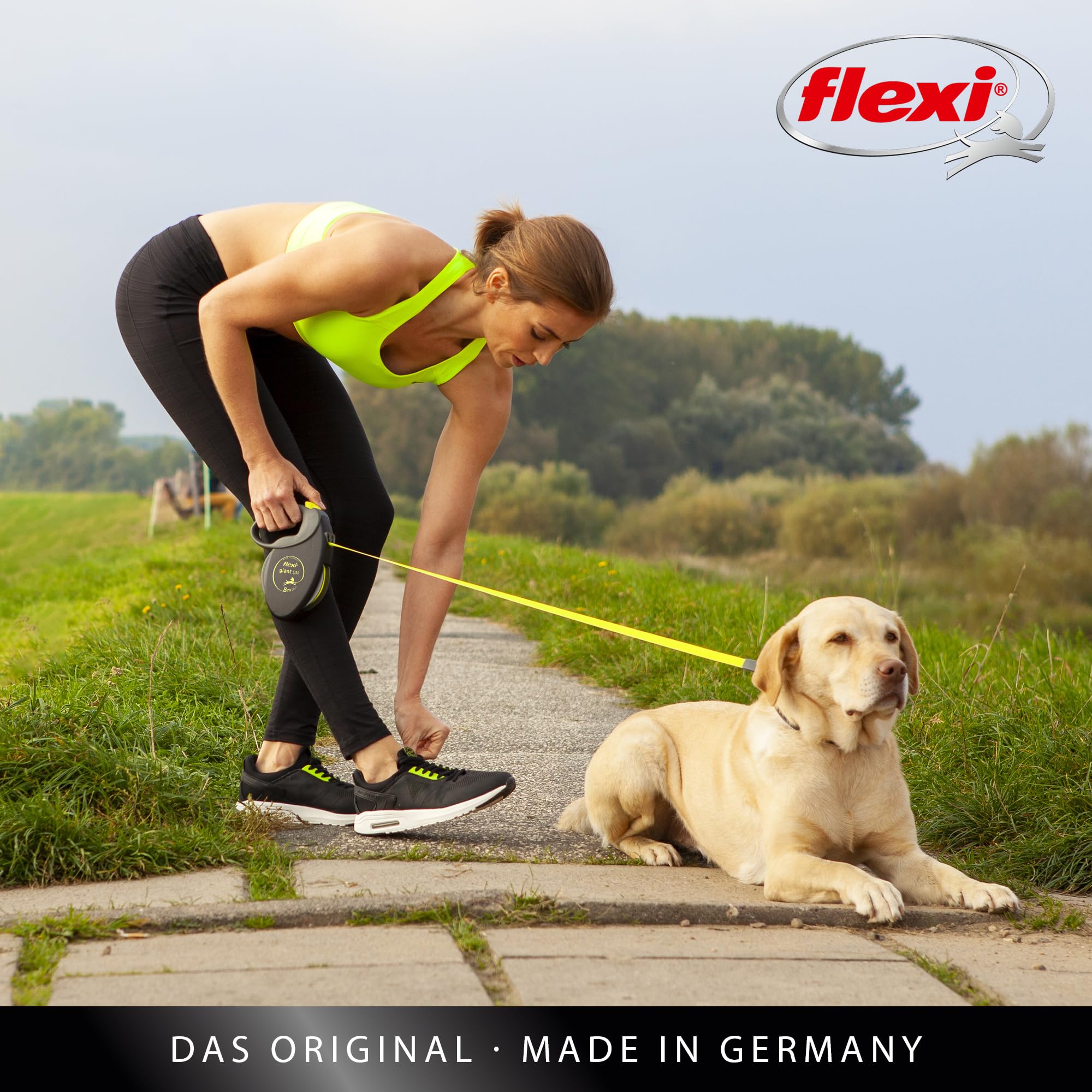 flexi Giant Black Edition Belt Retractable Dog Lead - 8m, Up to 50kg 8