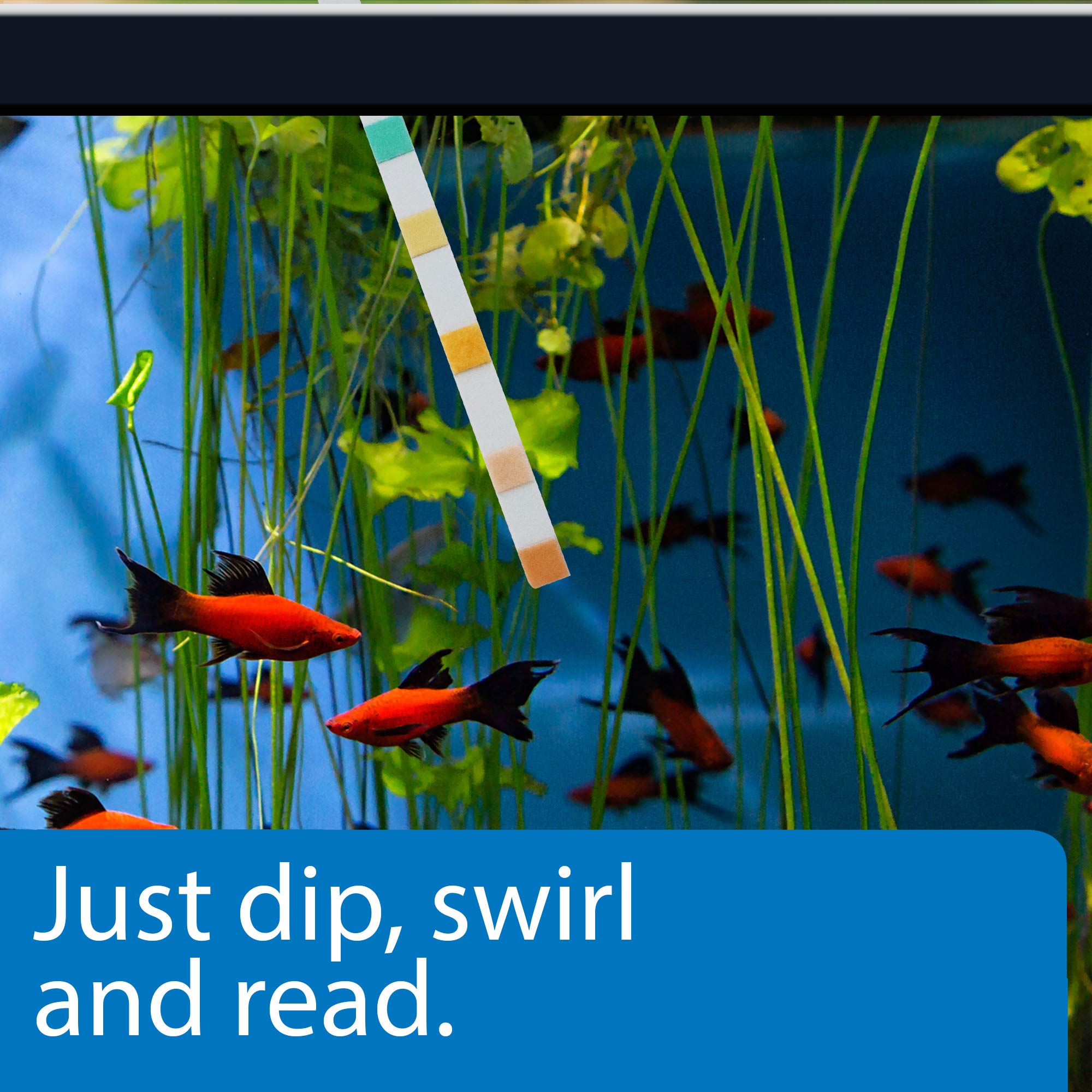 API 5-IN-1 Test Strips for Freshwater & Saltwater Aquariums | 25 Count 3
