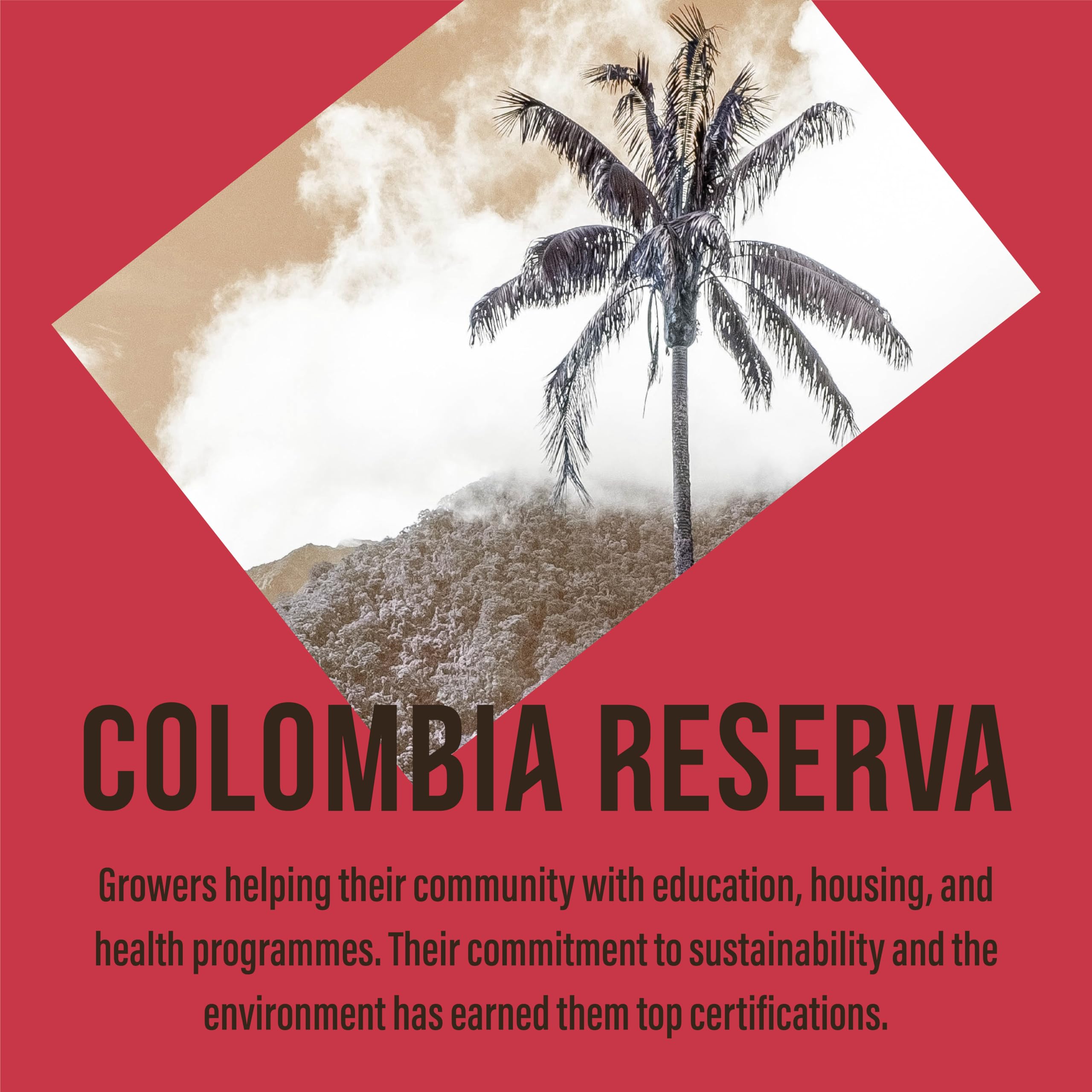 Cafédirect Cauca Valley Colombia Fairtrade Ground Arabica Coffee 227g (Pack of 6) 7