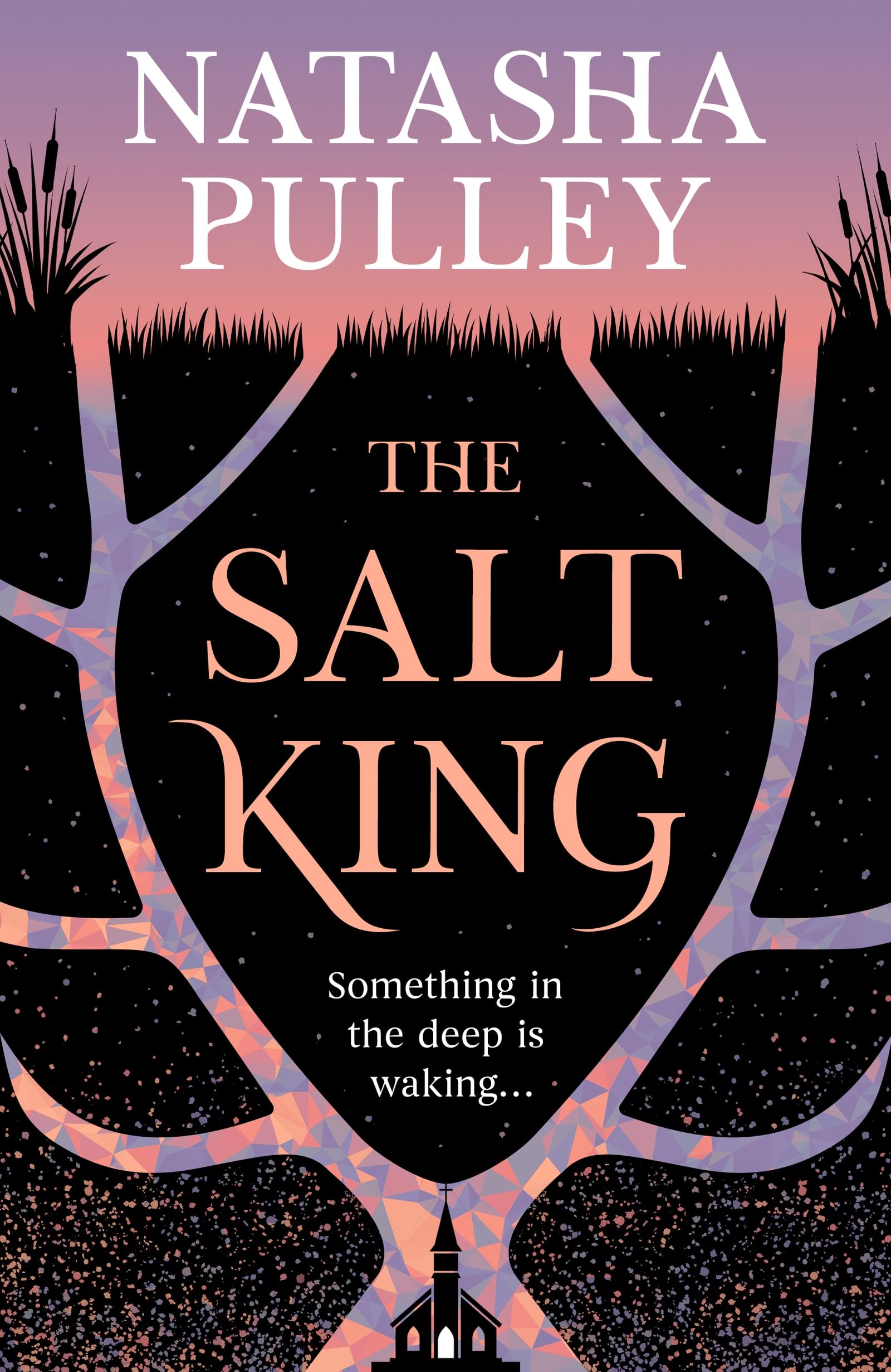 Gollancz The Salt King - Folk Horror Thriller | Hardcover | 464 Pages 1