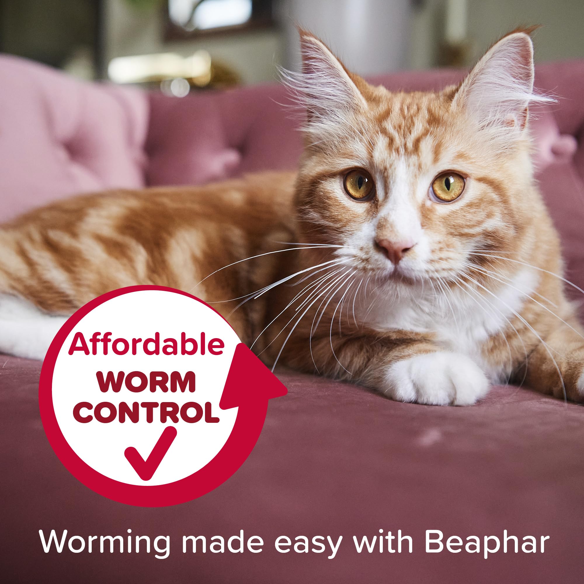Beaphar WORMclear Tablets for Cats - Kills Common UK Worms | 4 Tablet Pack 7