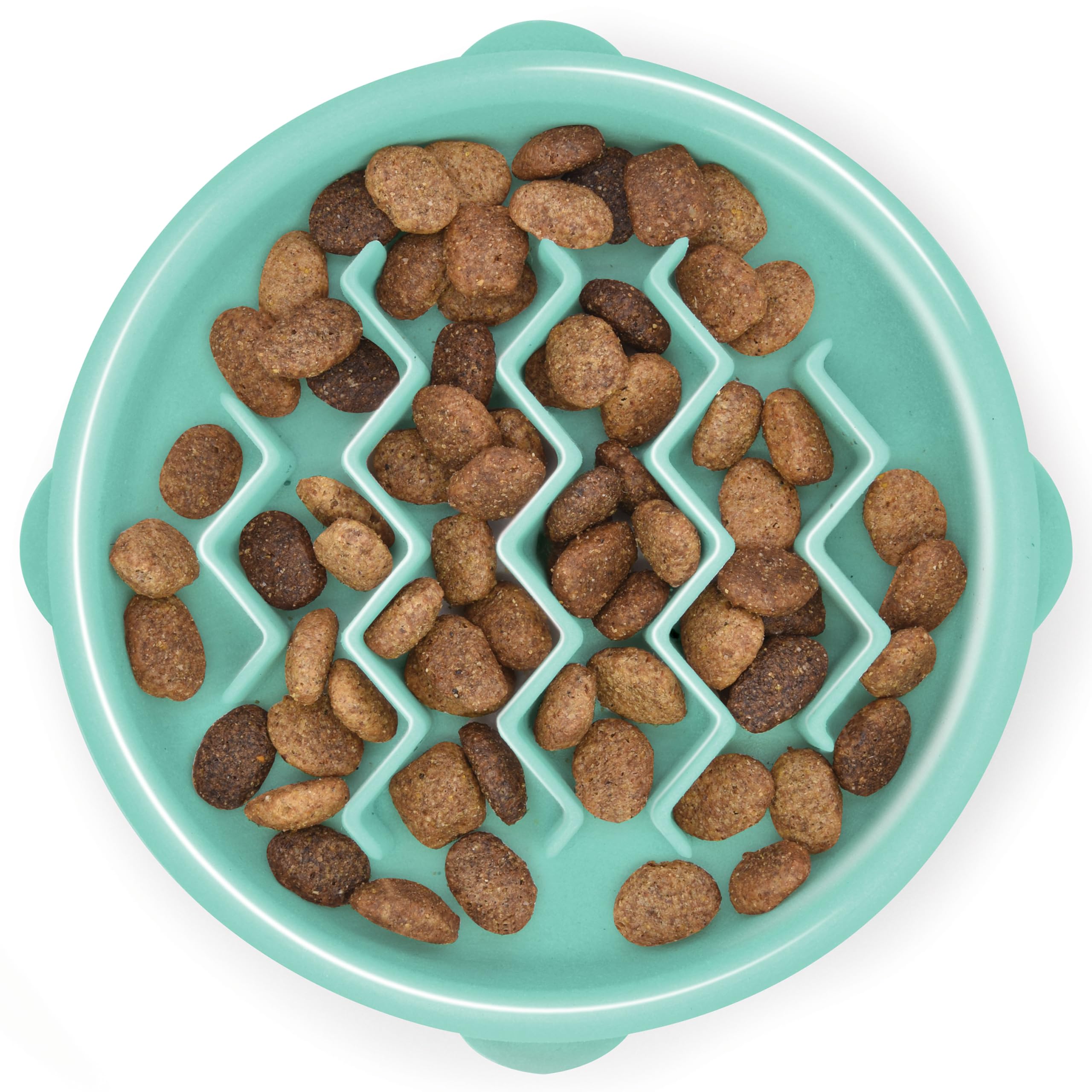 Outward Hound Puppy Slow Feeder Dog Bowl - Mint Small Size | BPA-Free, Dishwasher Safe