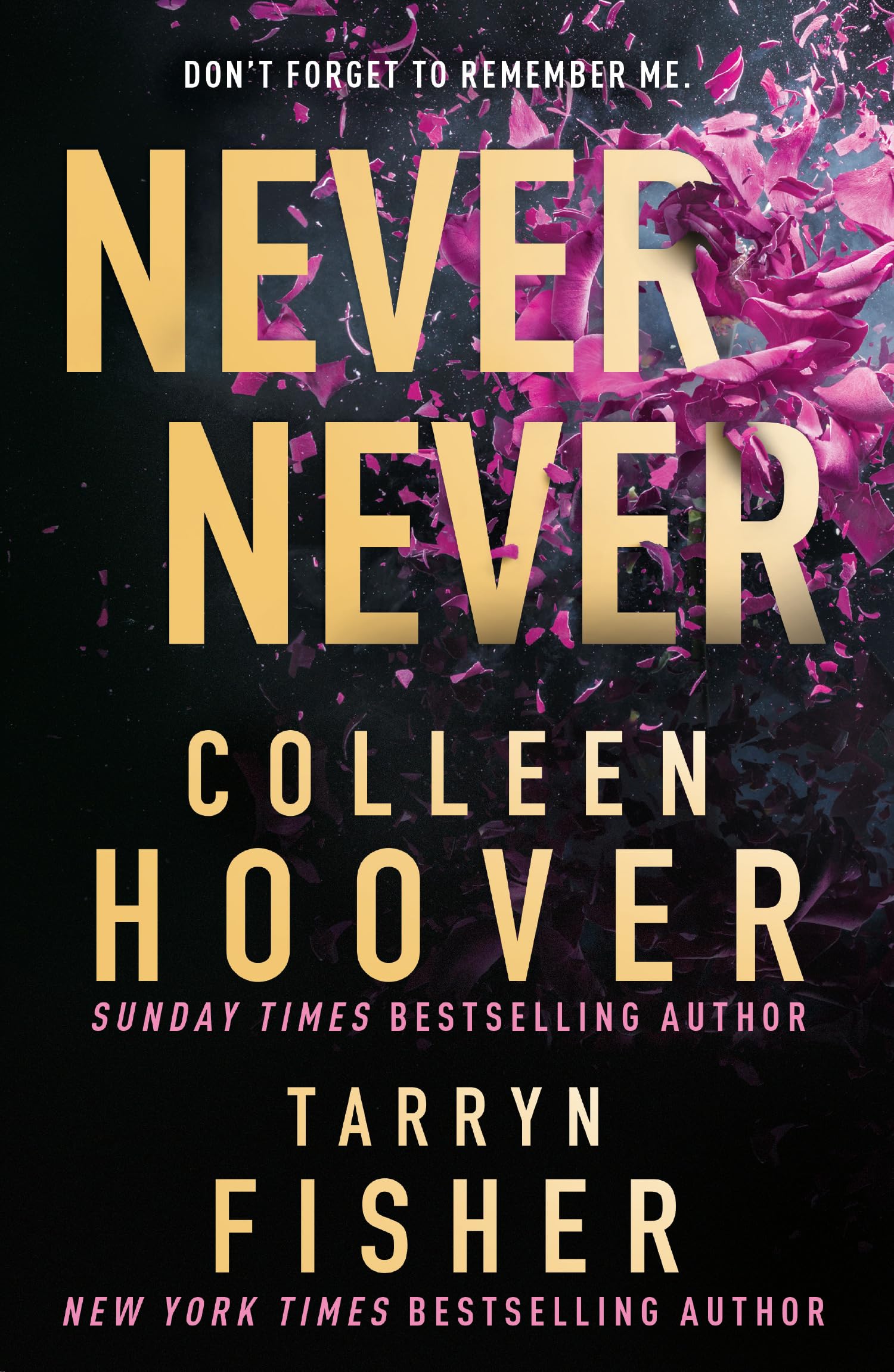 Never Never by Colleen Hoover & Tarryn Fisher - Romantic Suspense Novel | Paperback 1