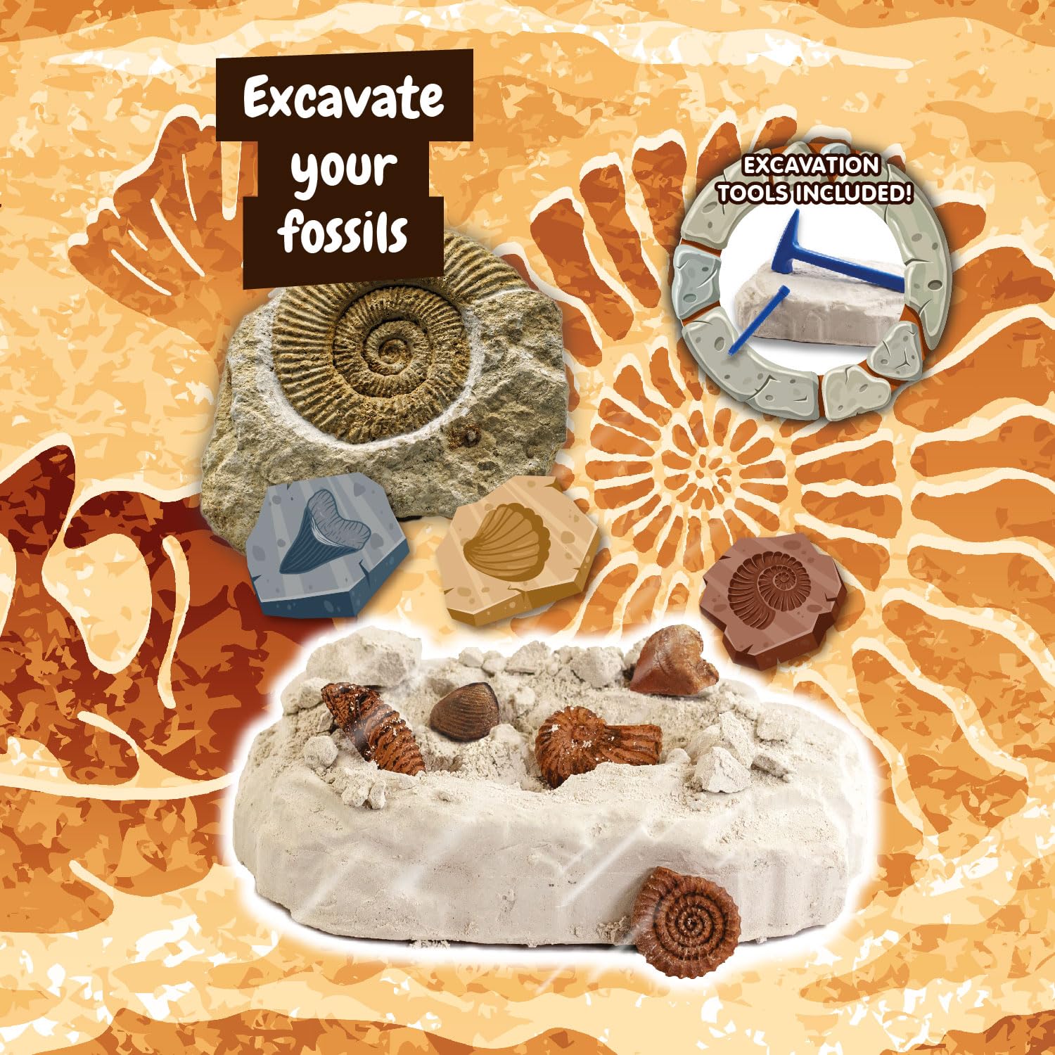 Science4you Fossil Dig Kit for Kids 6+ | Excavation Toy with 5 Fossils | Educational Paleontology Gift 3