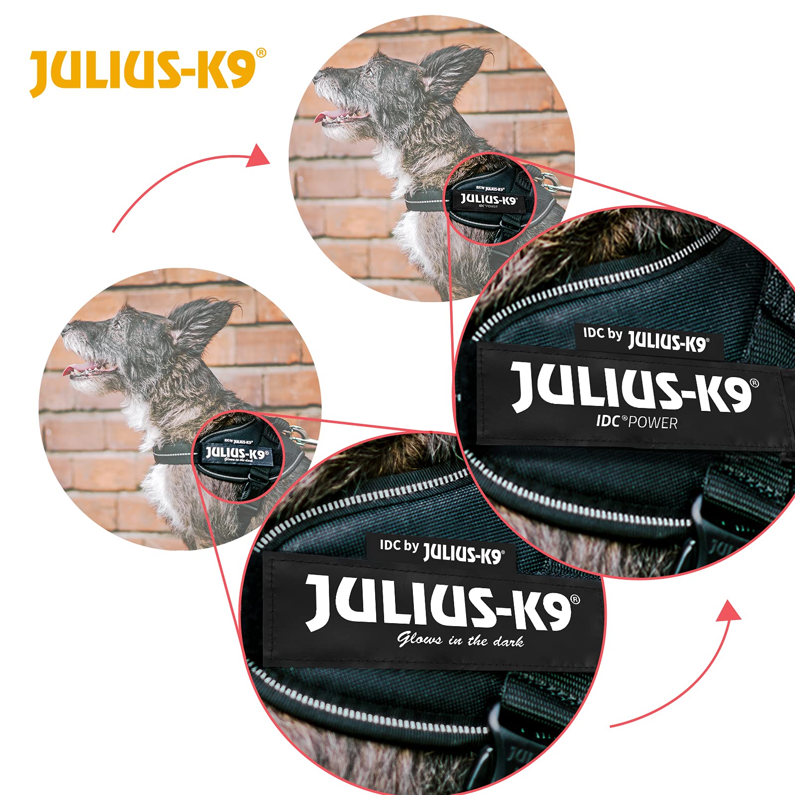 Julius-K9 IDC Powerharness Vest Harness - Mini Size | Aquamarine | 7-15 kg Dog Weight 4