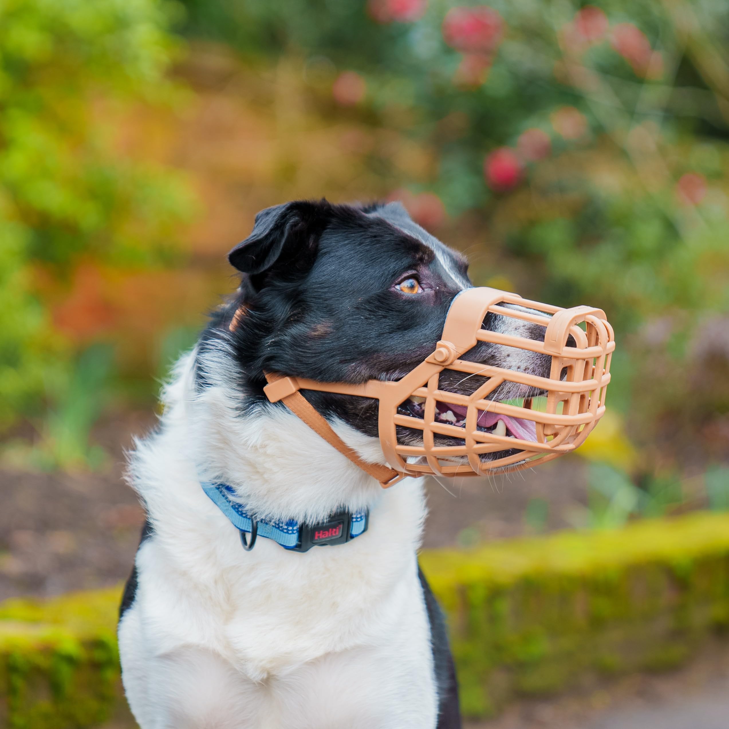 Baskerville Classic Basket Dog Muzzle - Size 9 | Brown TPE