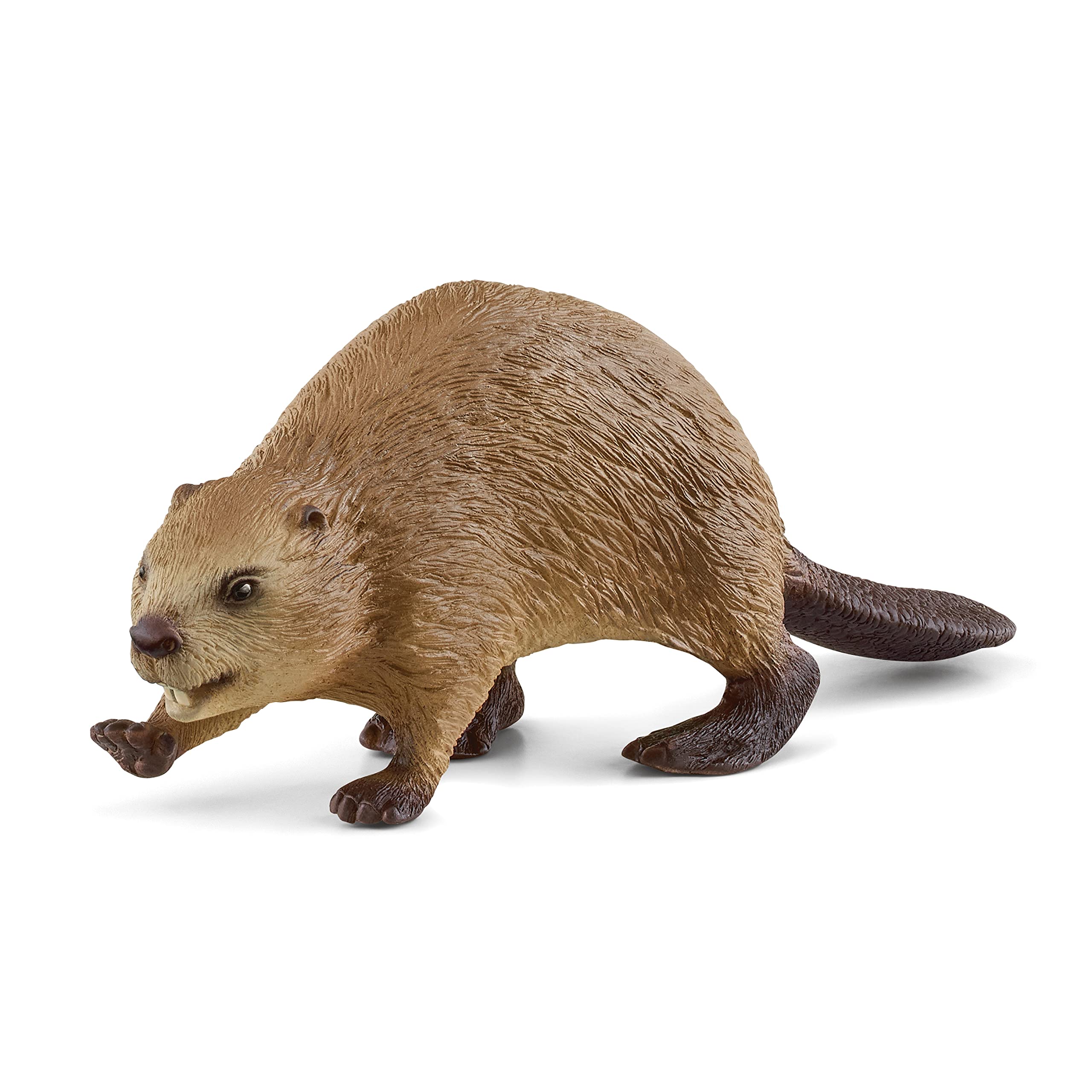 Schleich 14855 Beaver - Wildlife Animal Figure for Kids 3+