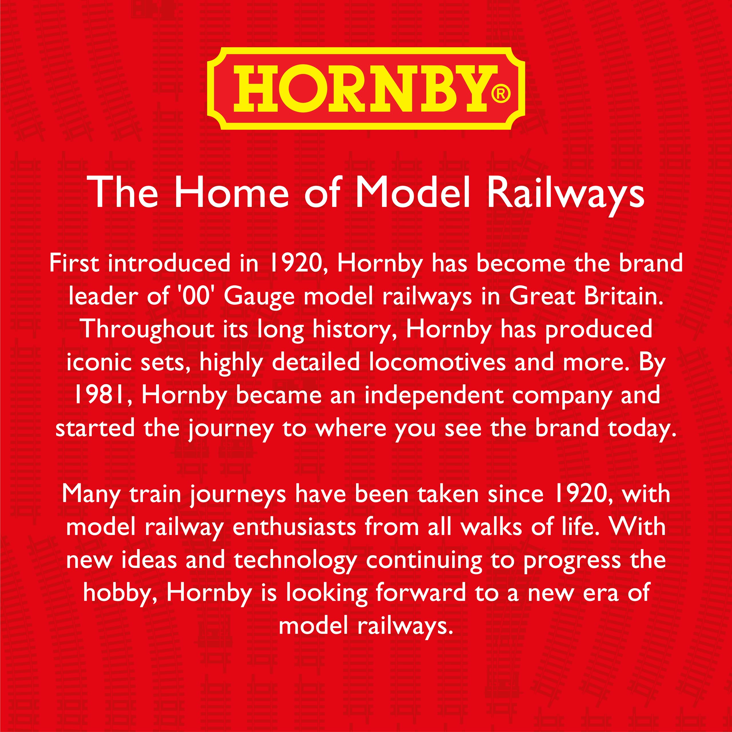 Hornby R601 OO Gauge Double Straight Track - Extra Track Pieces for Model Railway Sets, Model Train Track Pieces - Scale 1:76, Black 2