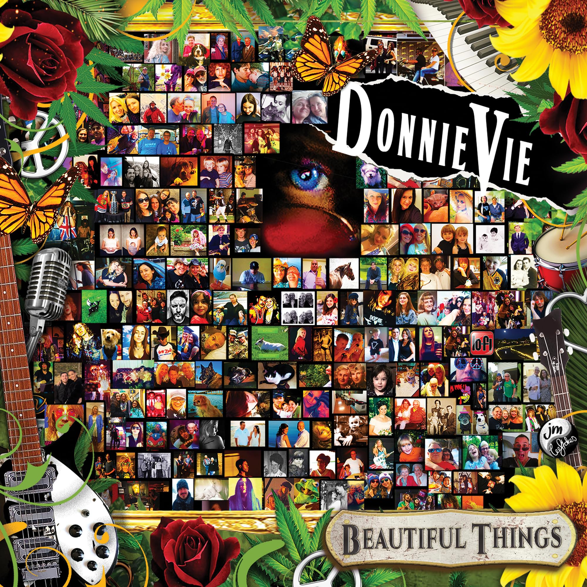 Donnie Vie - Beautiful Things [Vinyl]